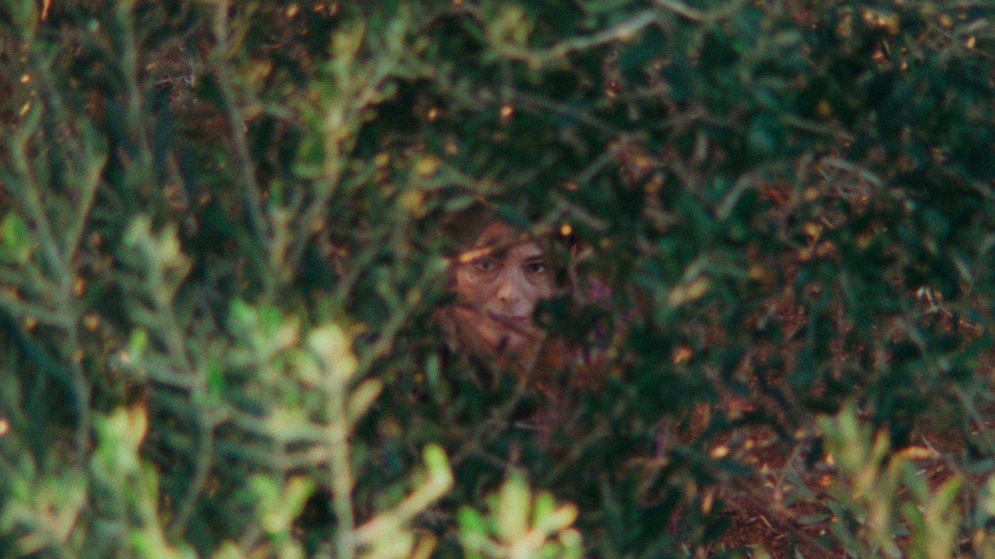 Backdrop for The Heavens