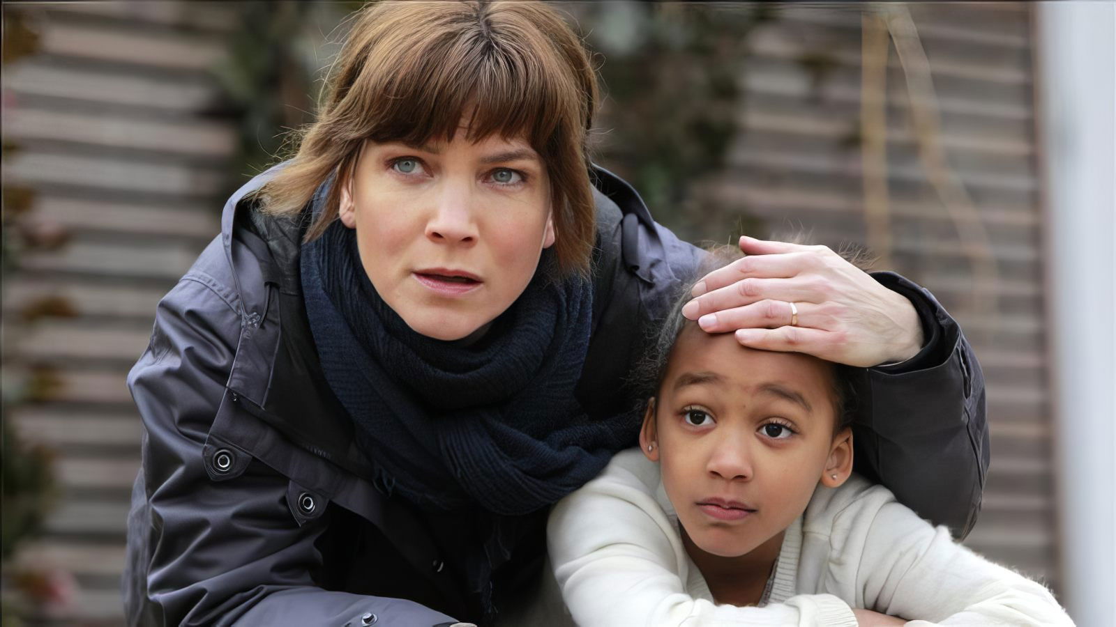 Backdrop for Irene Huss 11: I skydd av skuggorna