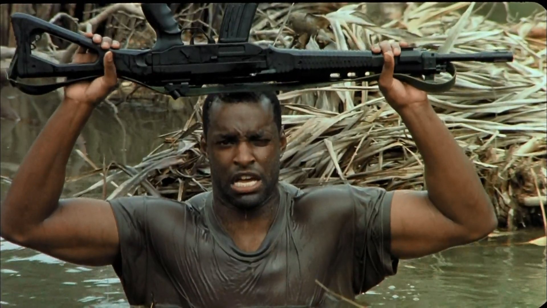 Backdrop for Charging Out Amazon