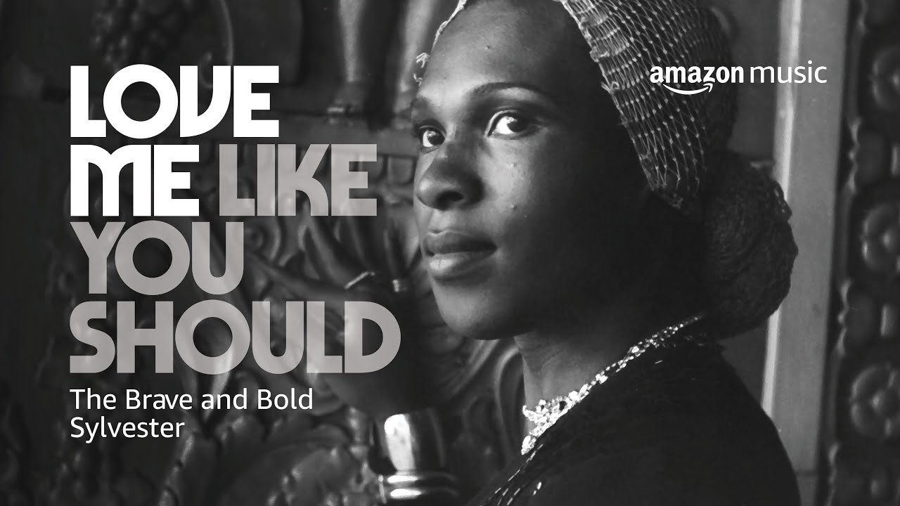 Backdrop for Love Me Like You Should: The Brave and Bold Sylvester