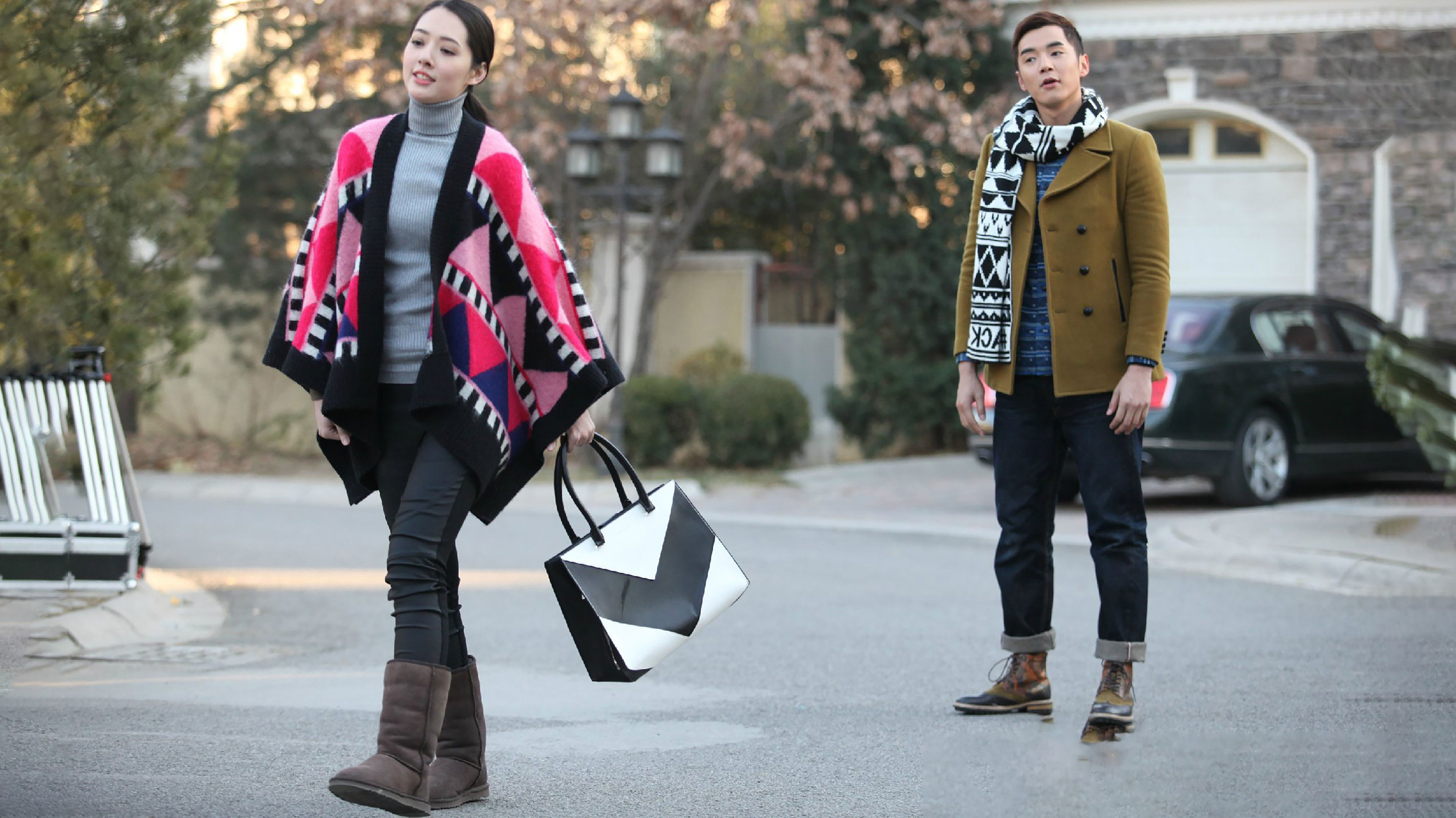 Backdrop for Hero Dog