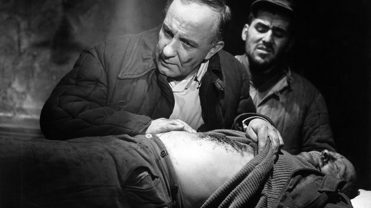 Backdrop for The Doctor of Stalingrad