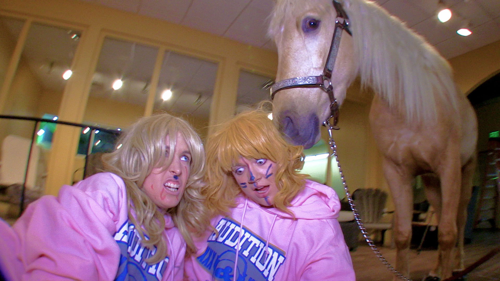 Backdrop for Center Jenny