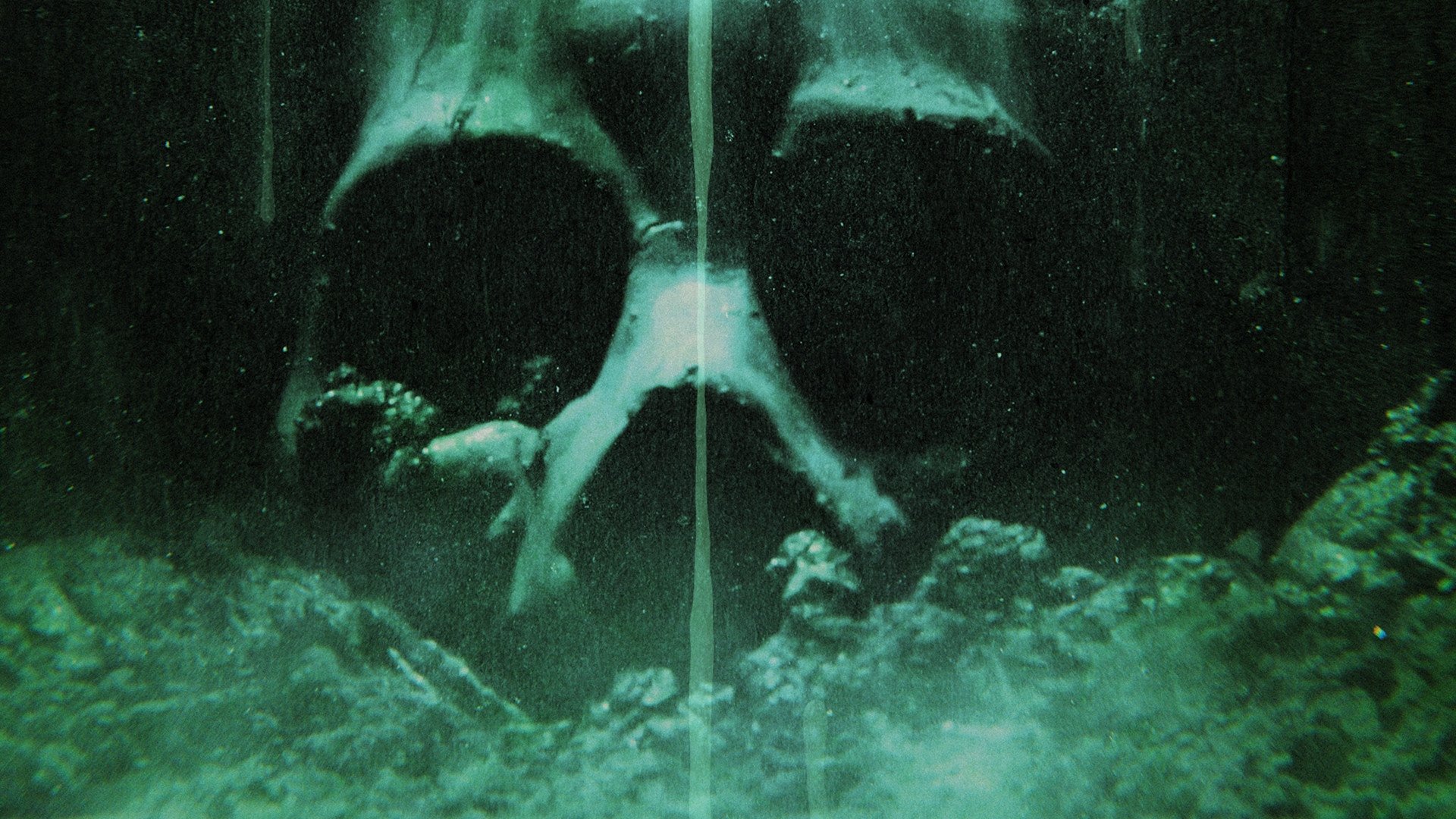 Backdrop for Transhuman