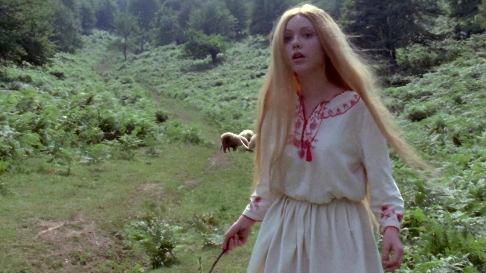 Backdrop for Leptirica