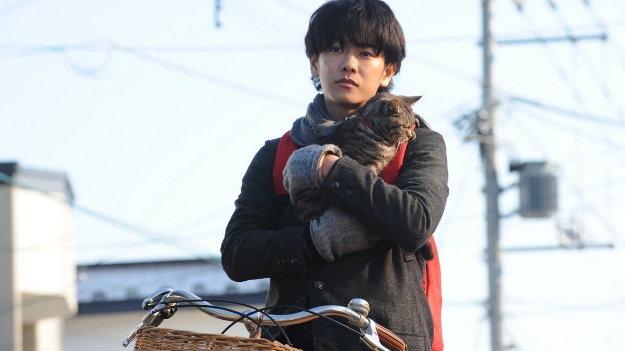 Backdrop for If Cats Disappeared from the World