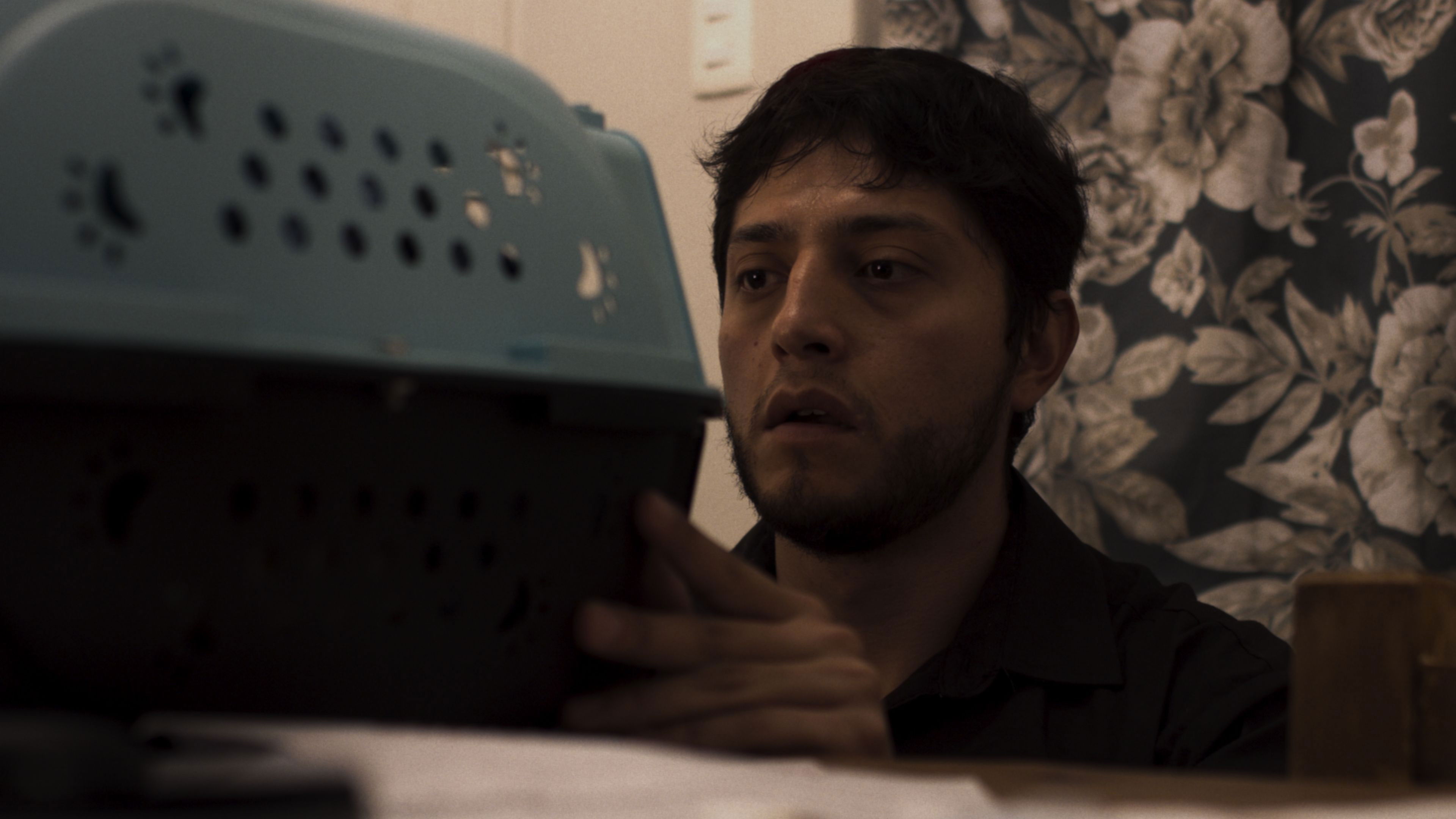 Backdrop for I Plead Time Does Not Take You Away