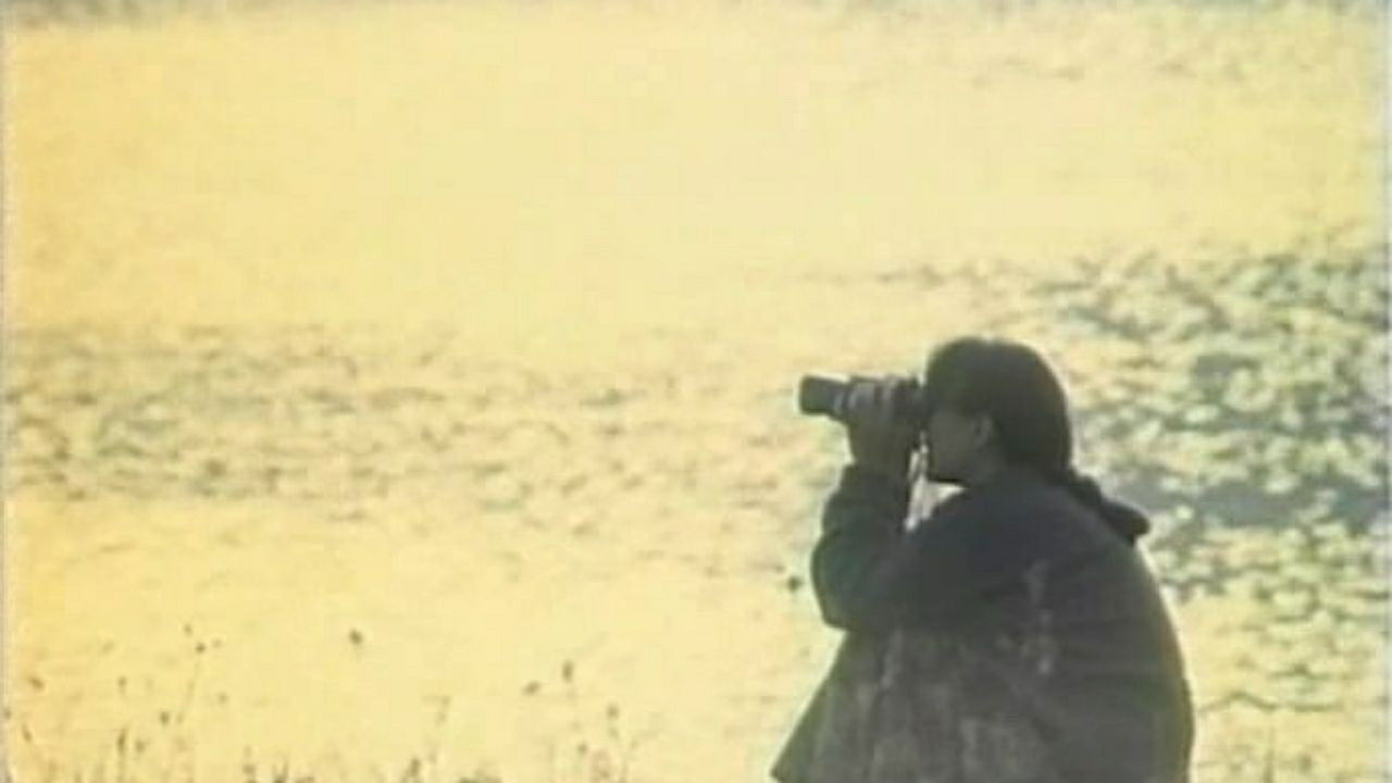 Backdrop for Destiny Boards