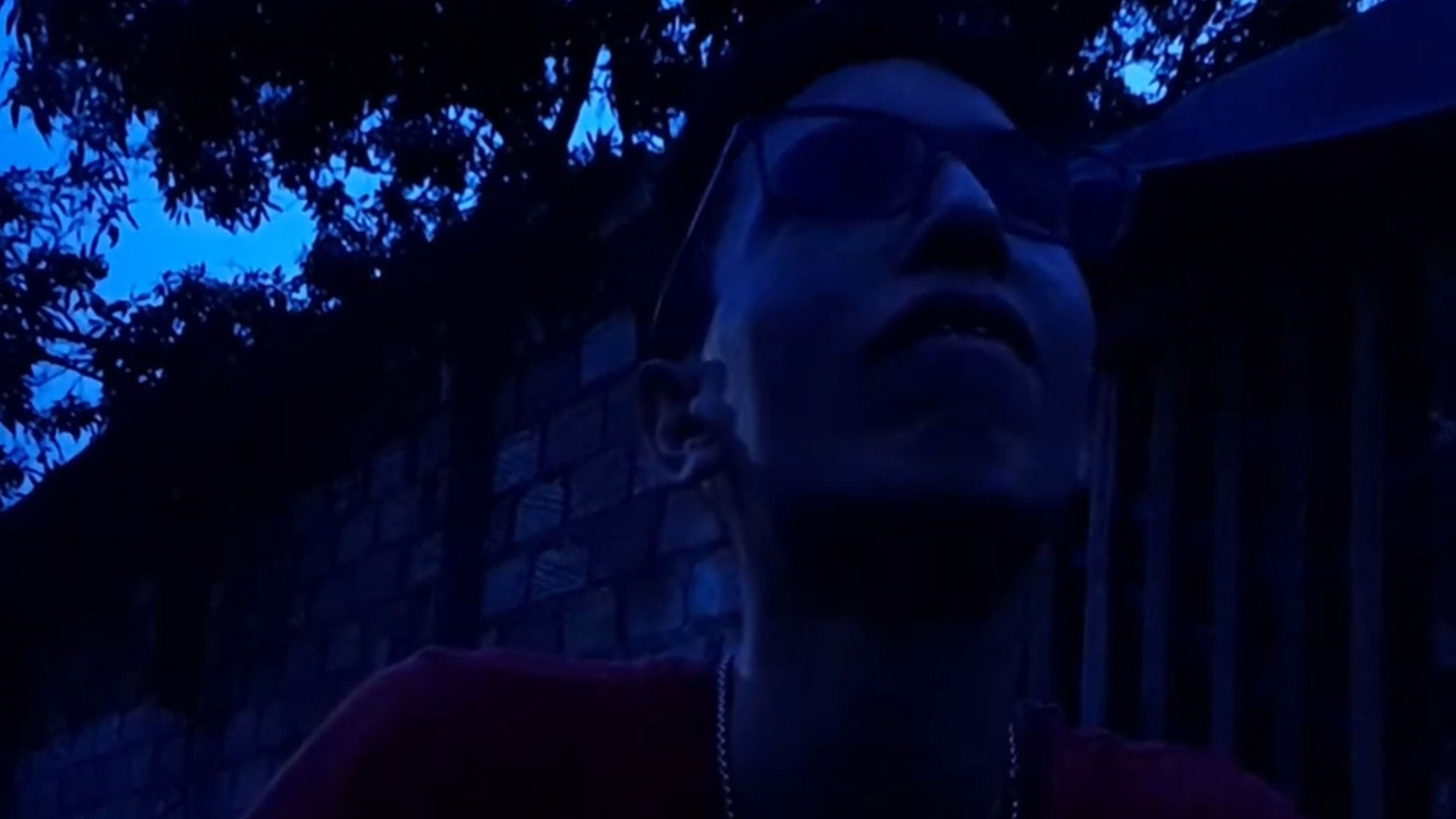 Backdrop for "Hock Forte": Director's Cut