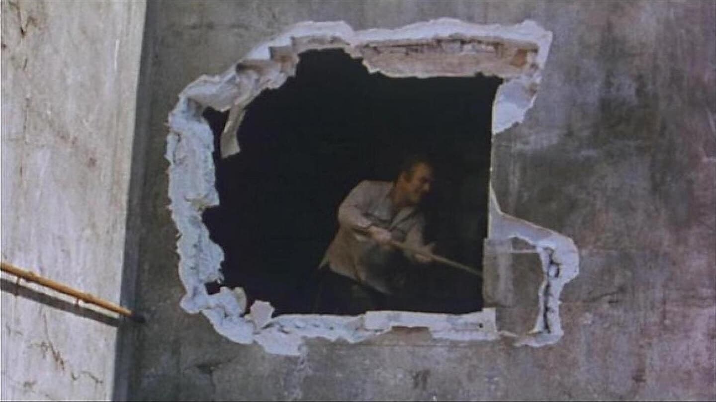 Backdrop for Themroc