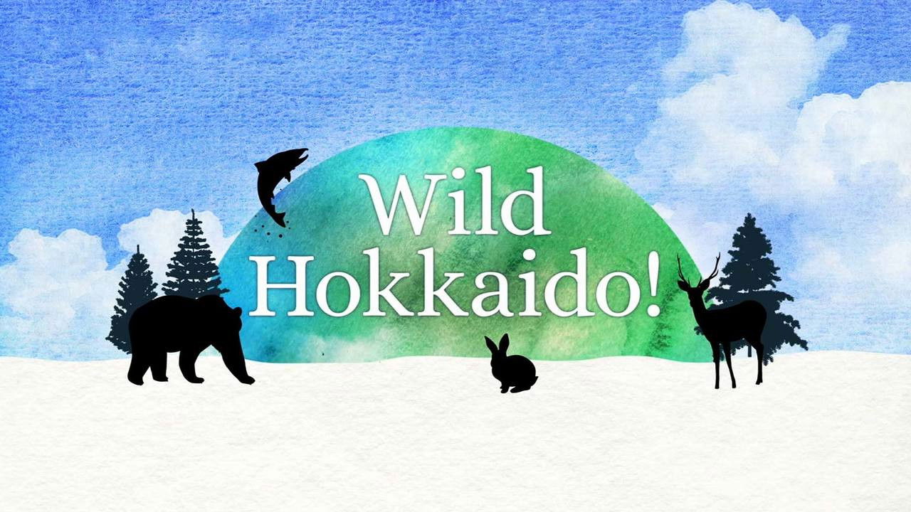 Backdrop for Wild Hokkaido!