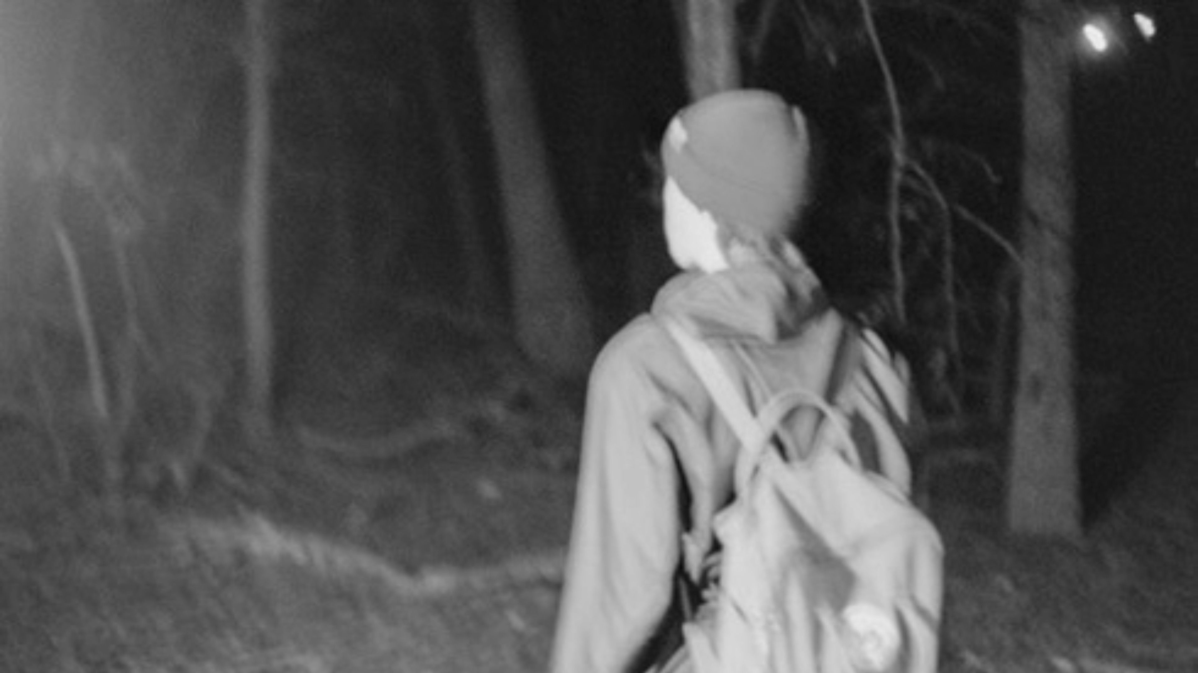 Backdrop for A Deer's Deal