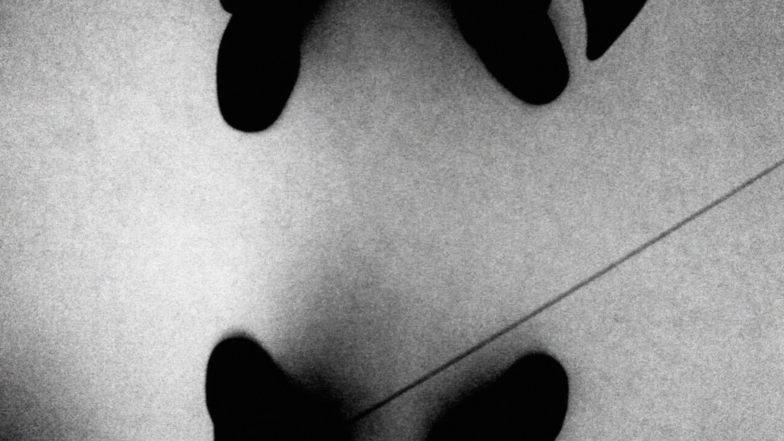 Backdrop for When You Wake