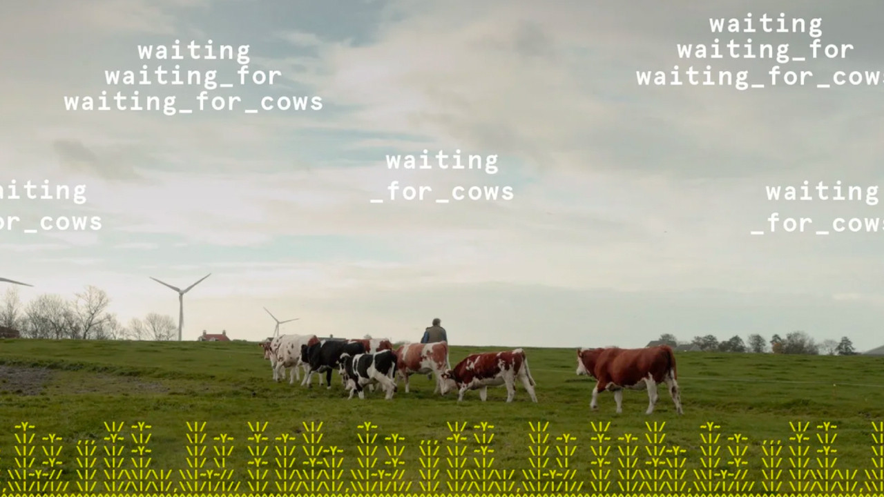 Backdrop for waiting_for_cows
