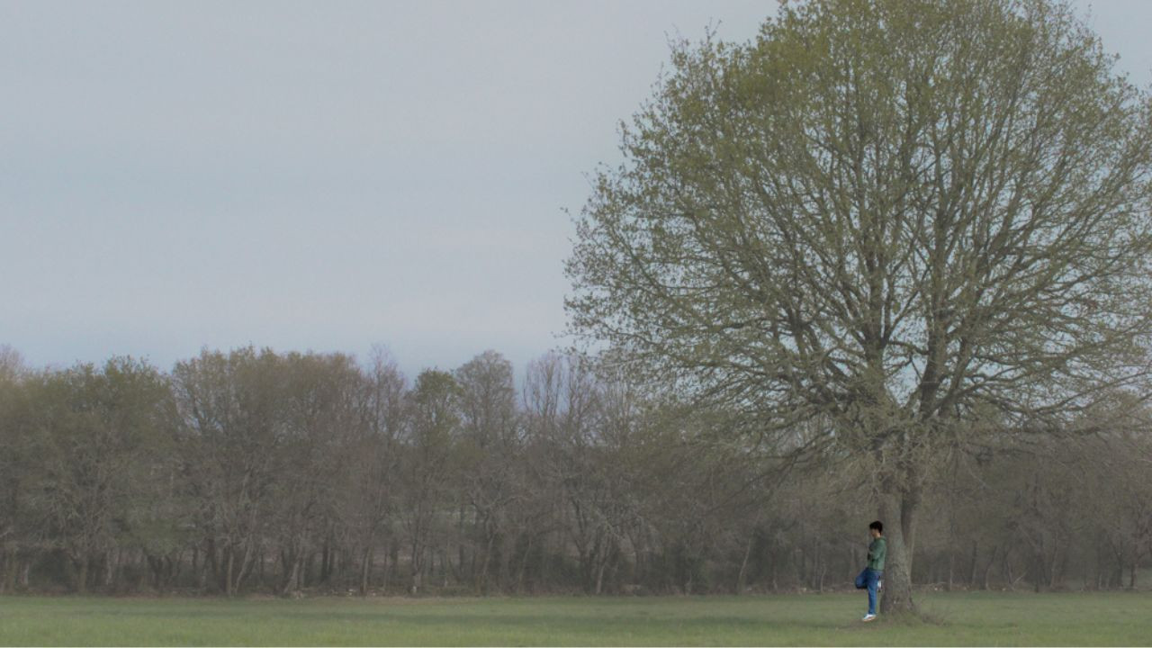 Backdrop for El Día Del Lirón