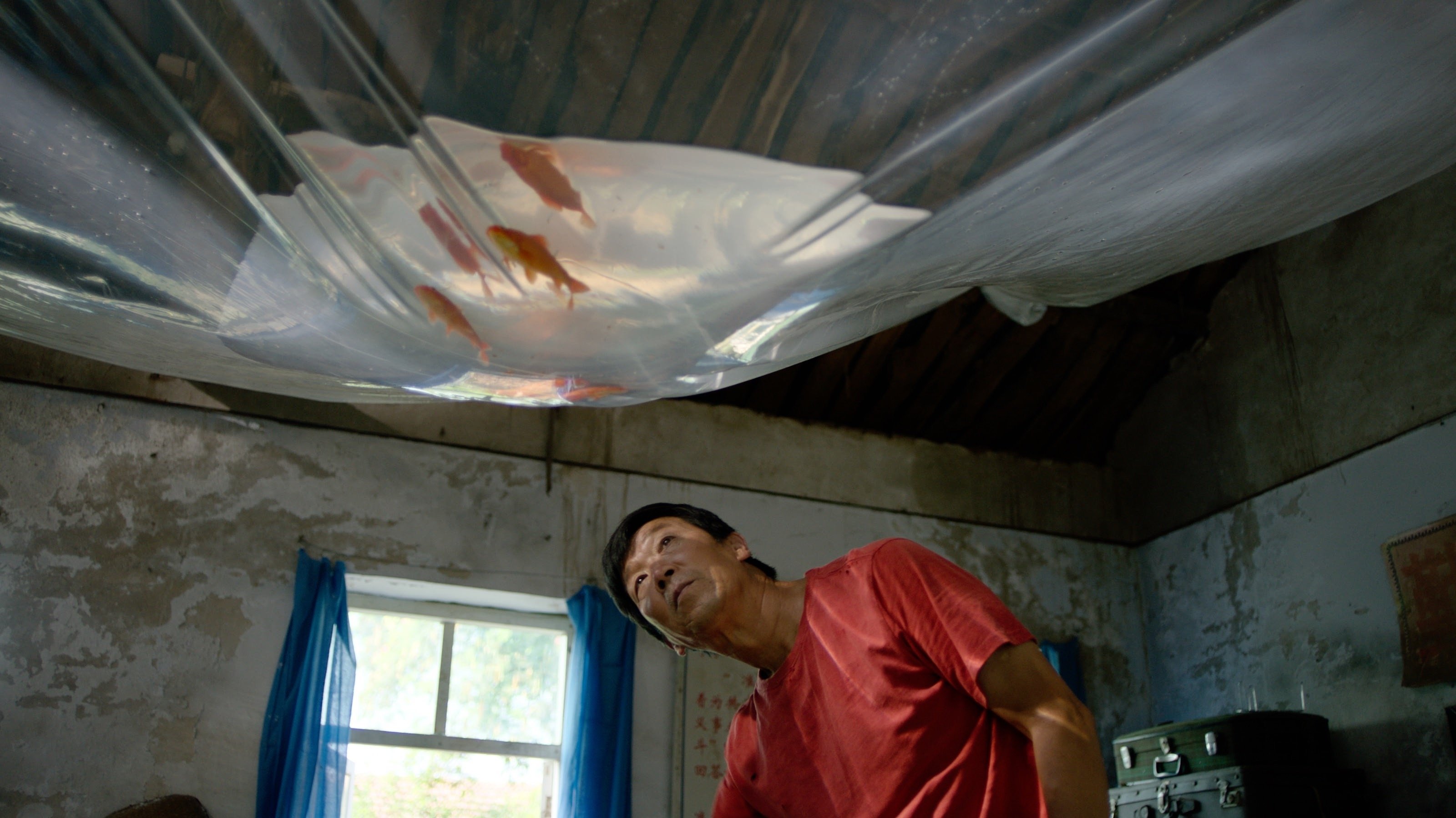 Backdrop for Summer Detective