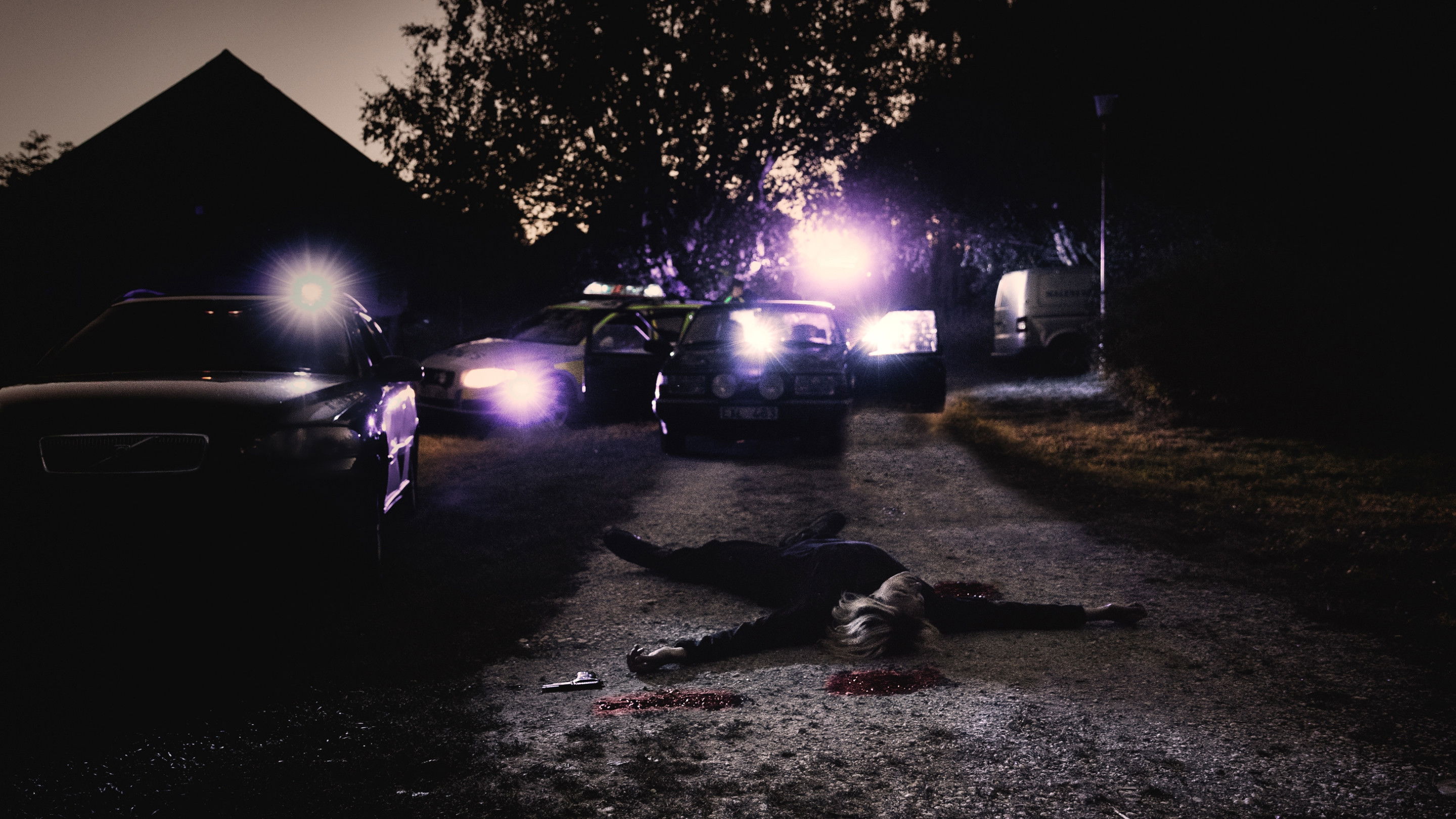 Backdrop for The Duckpond