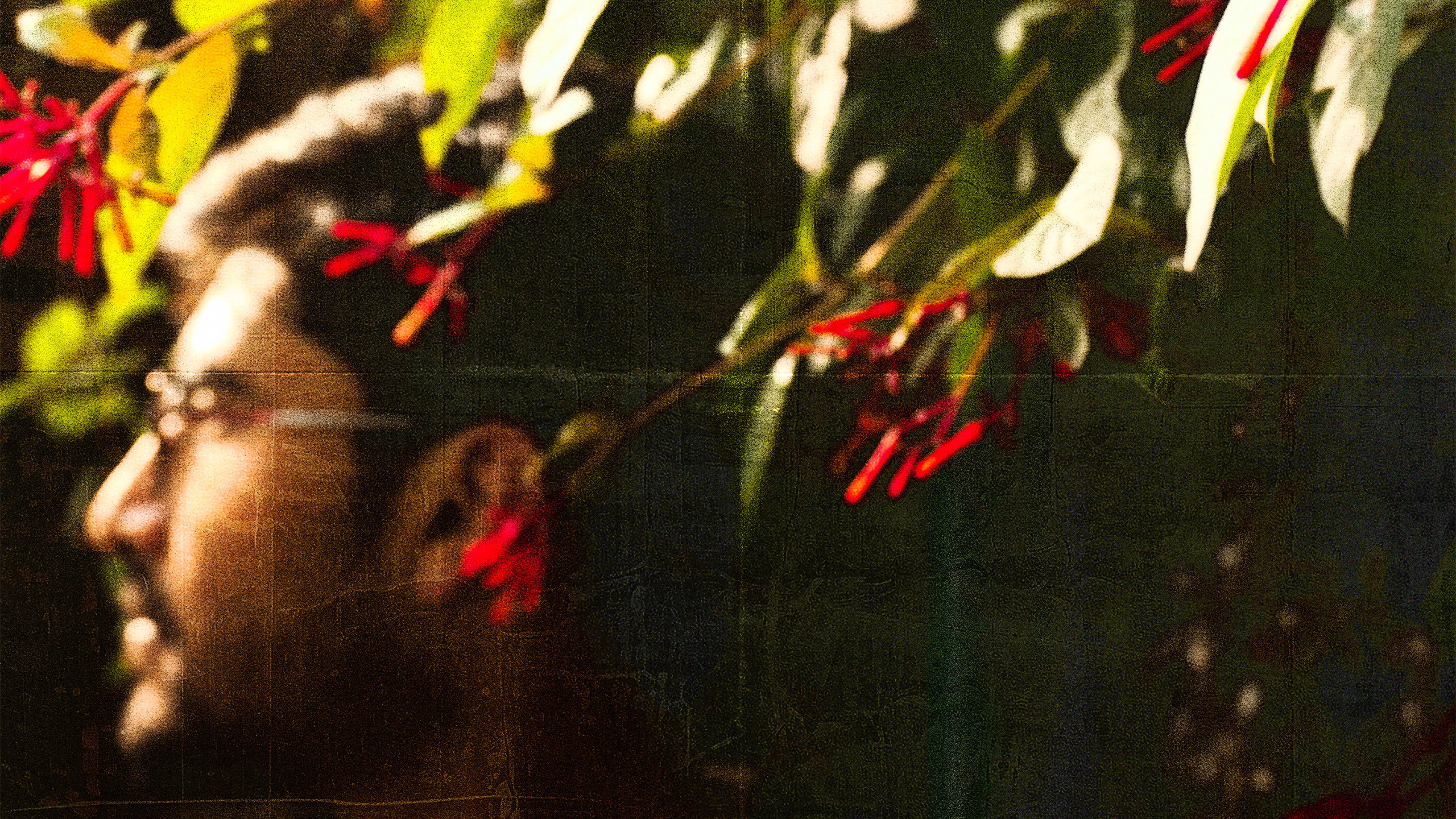 Backdrop for Marasim