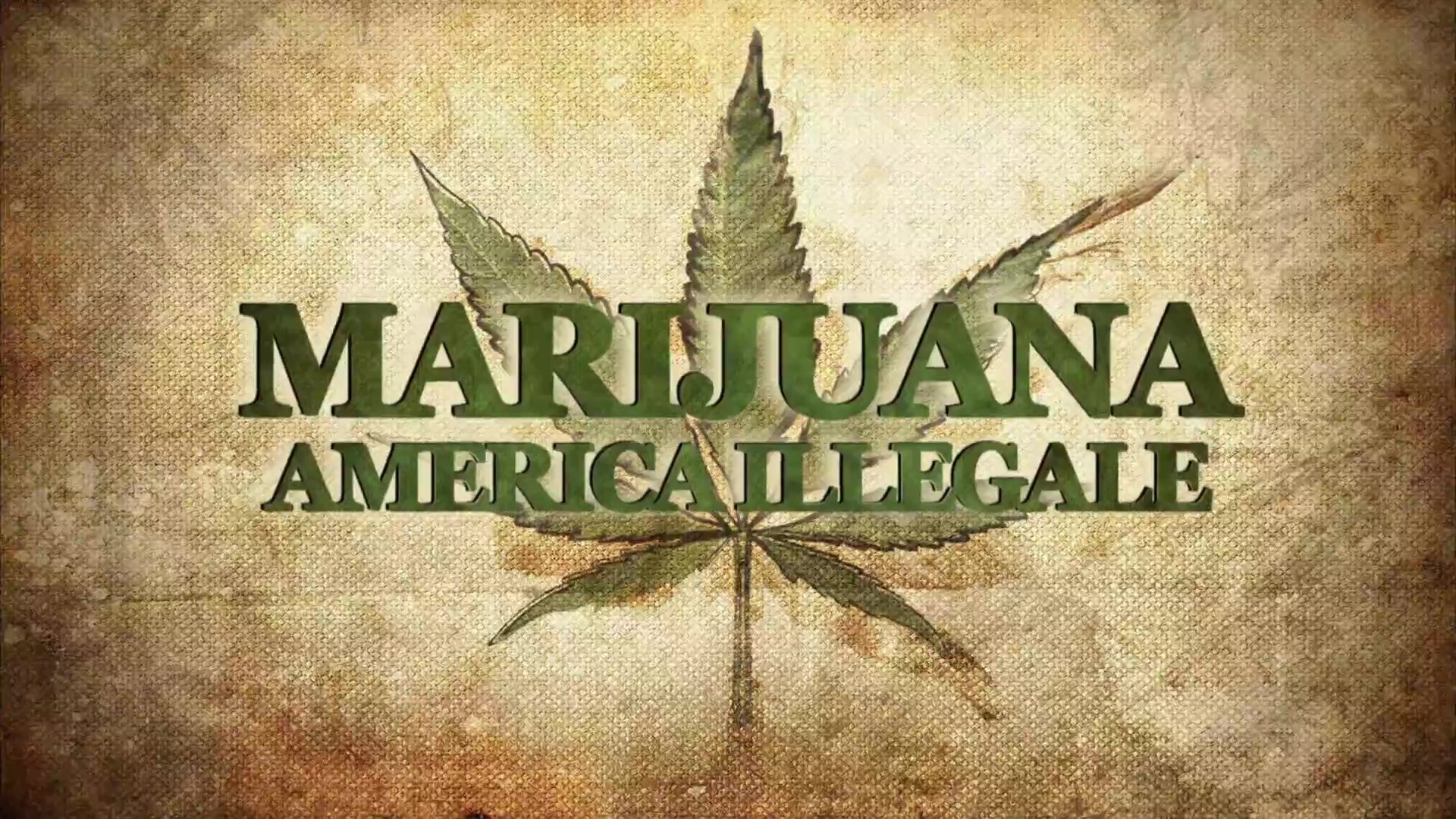 Backdrop for Weed Country