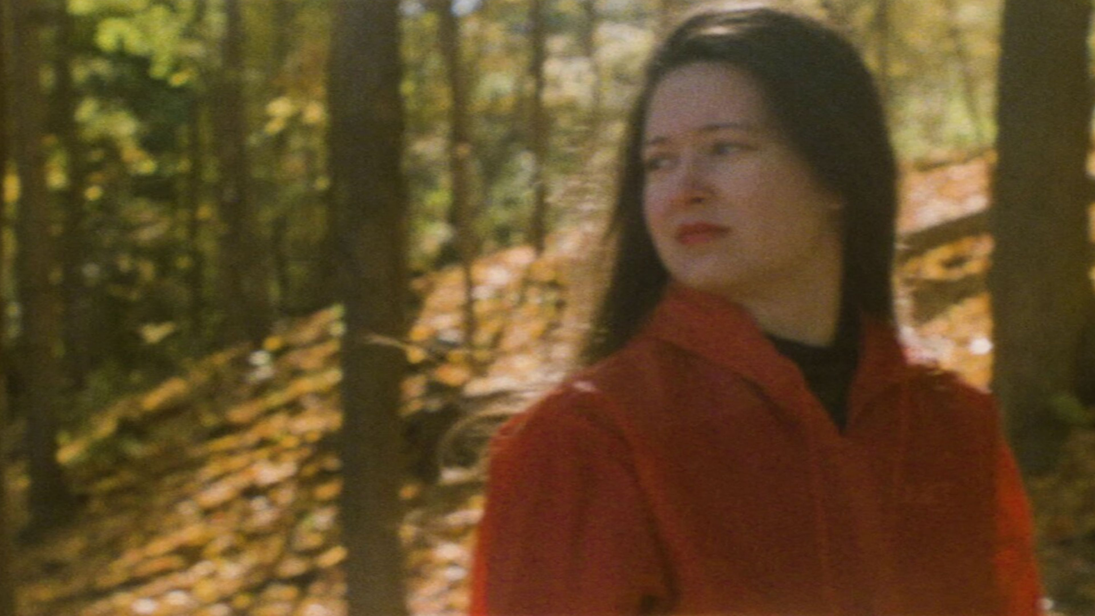 Backdrop for The Scream