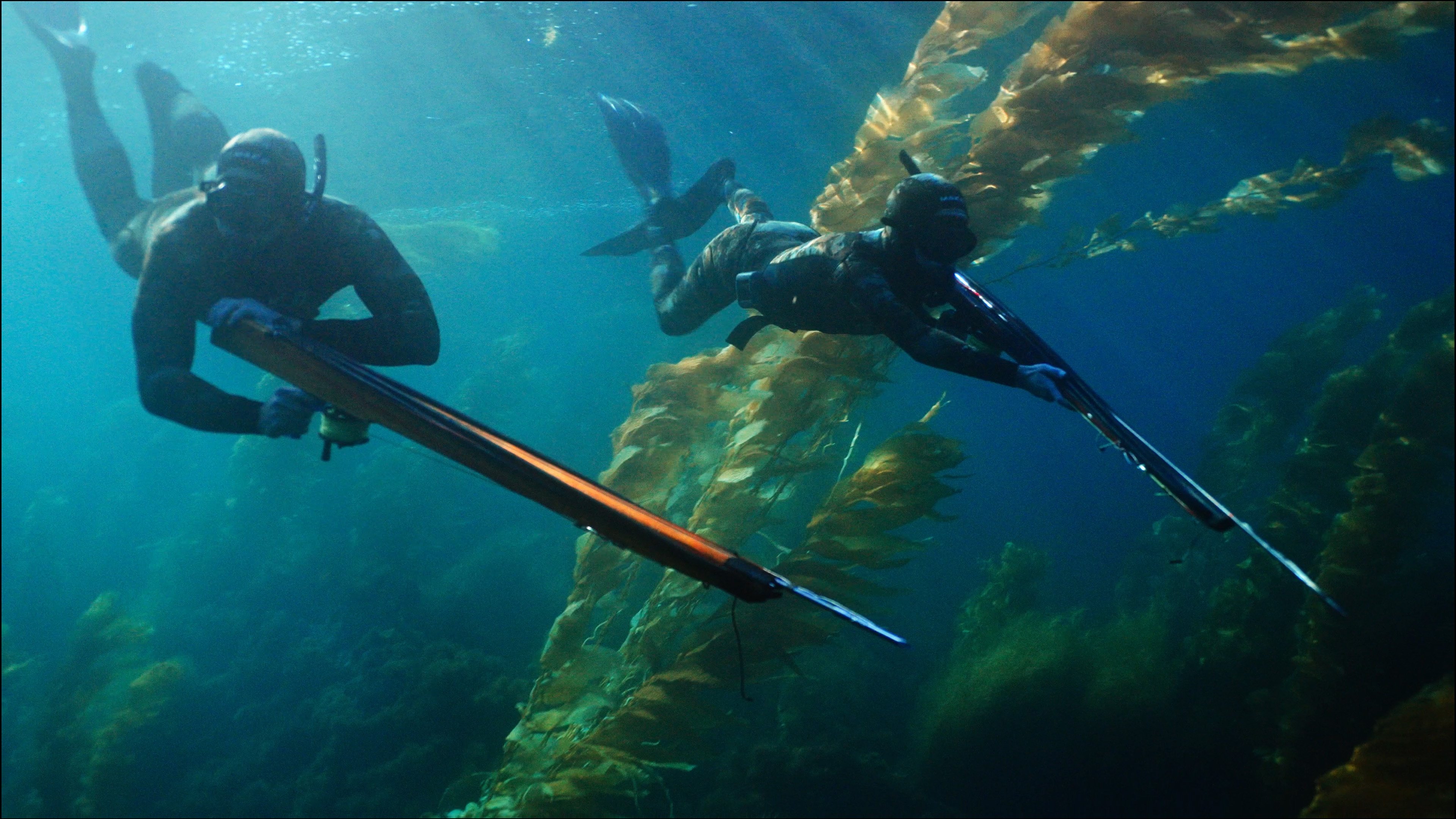 Backdrop for Whisper Breach