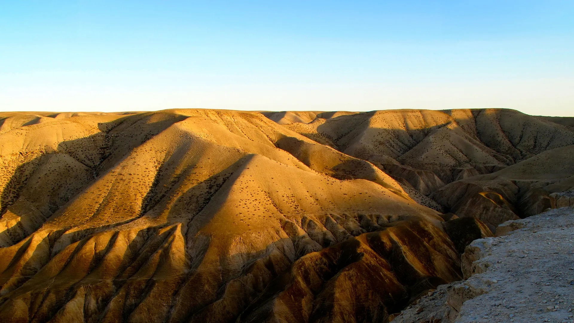 Backdrop for Deserts and Life