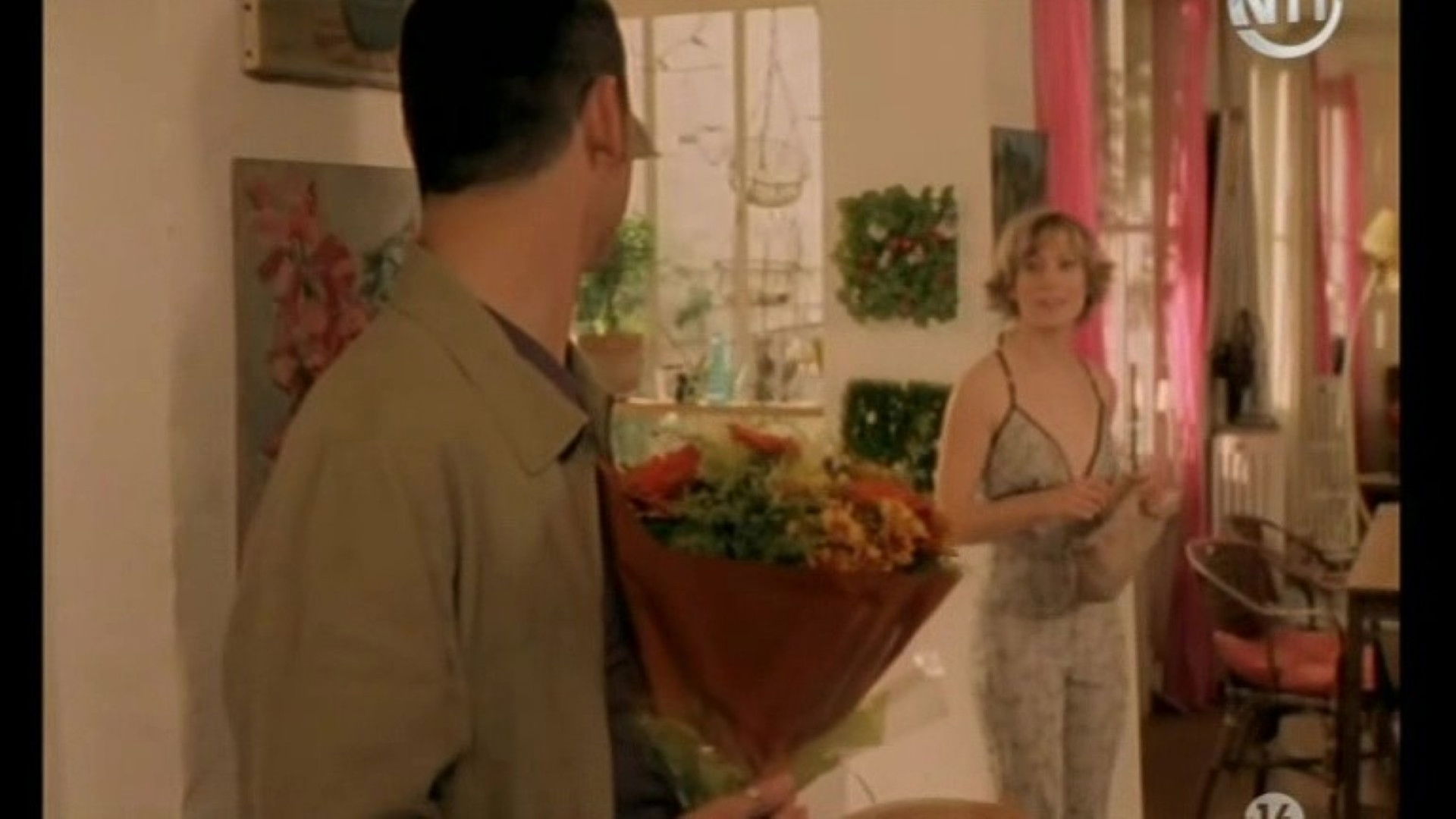 Backdrop for Aline or Frustrations