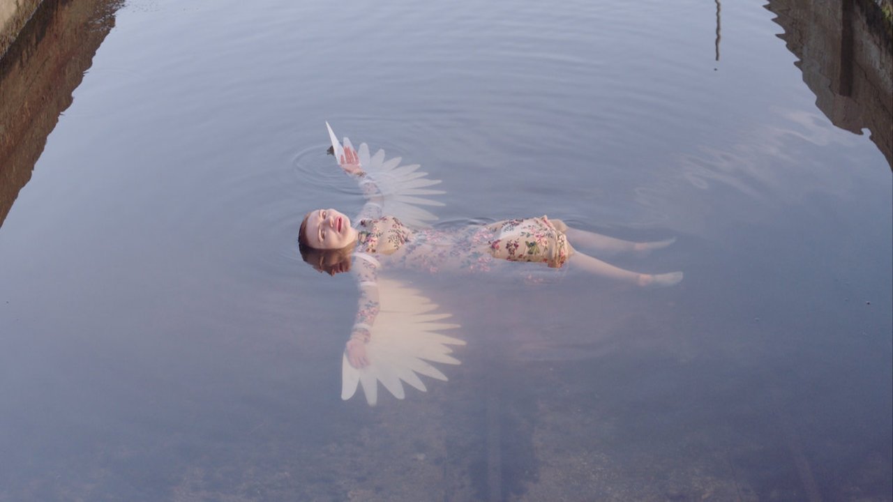 Backdrop for Die Seemeeu