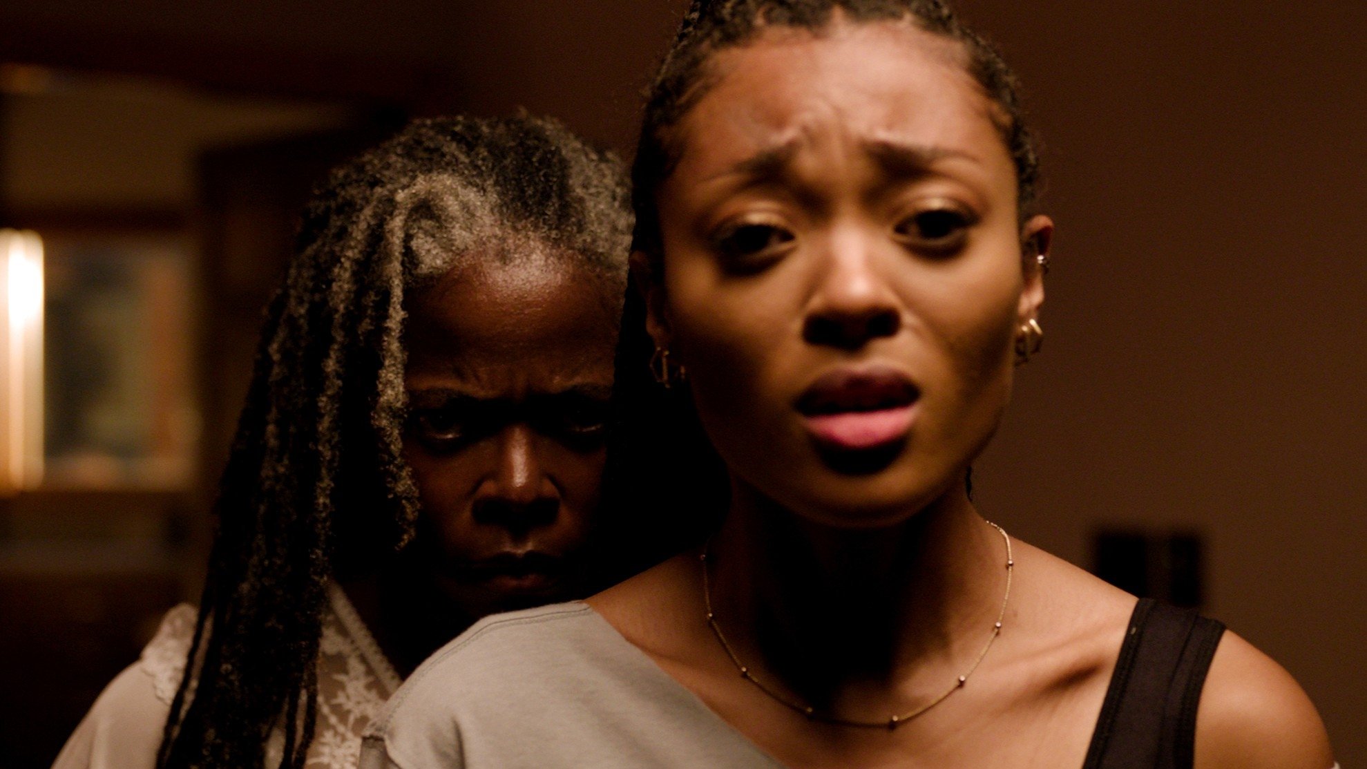 Backdrop for Noseeums