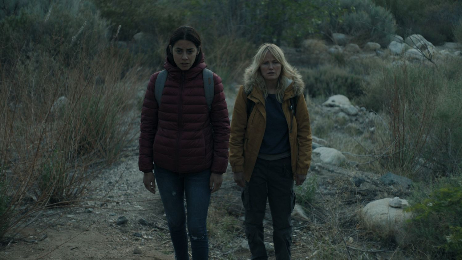 Backdrop for The Aviary