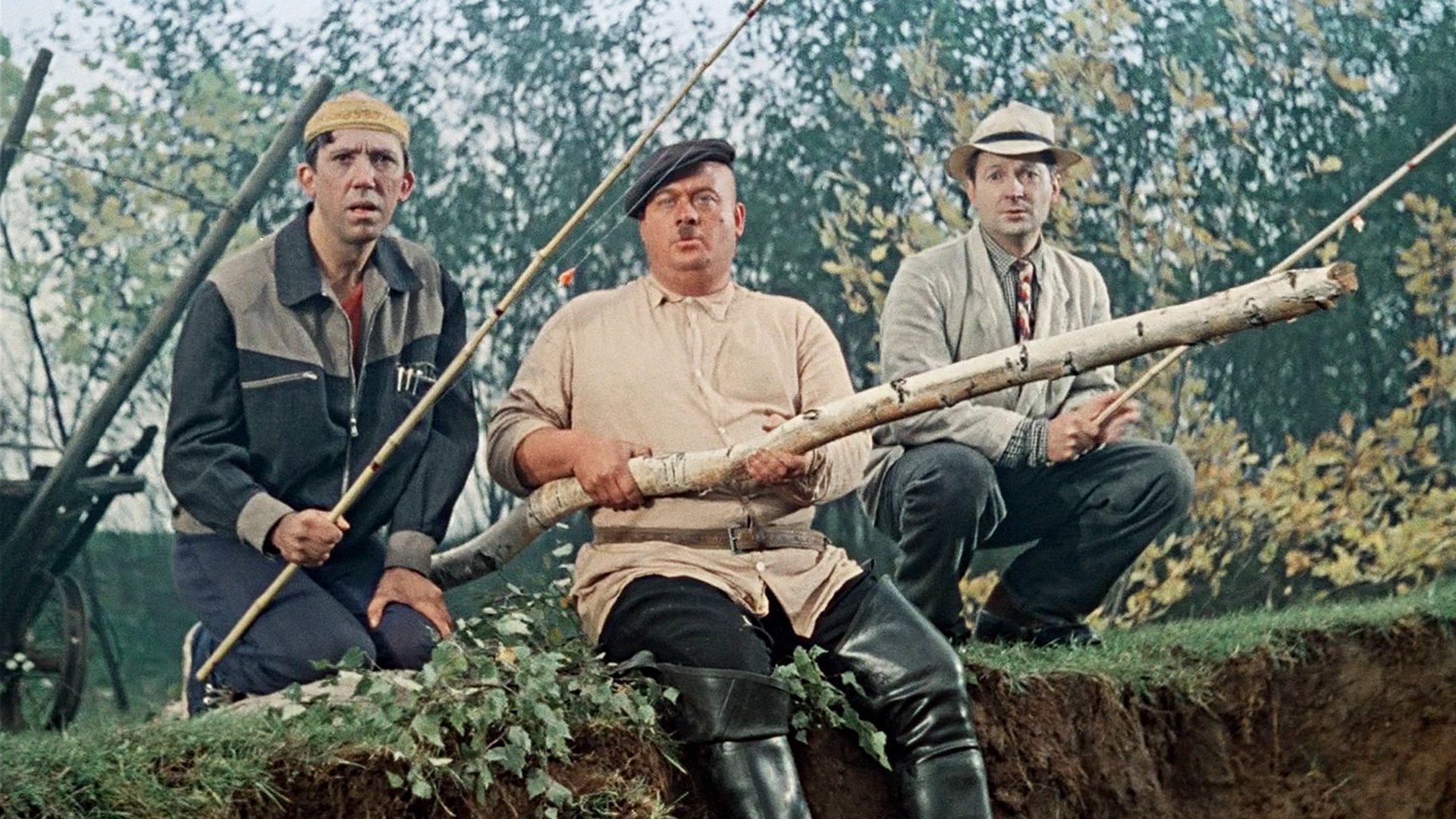 Backdrop for Dog Barbos and Unusual Cross