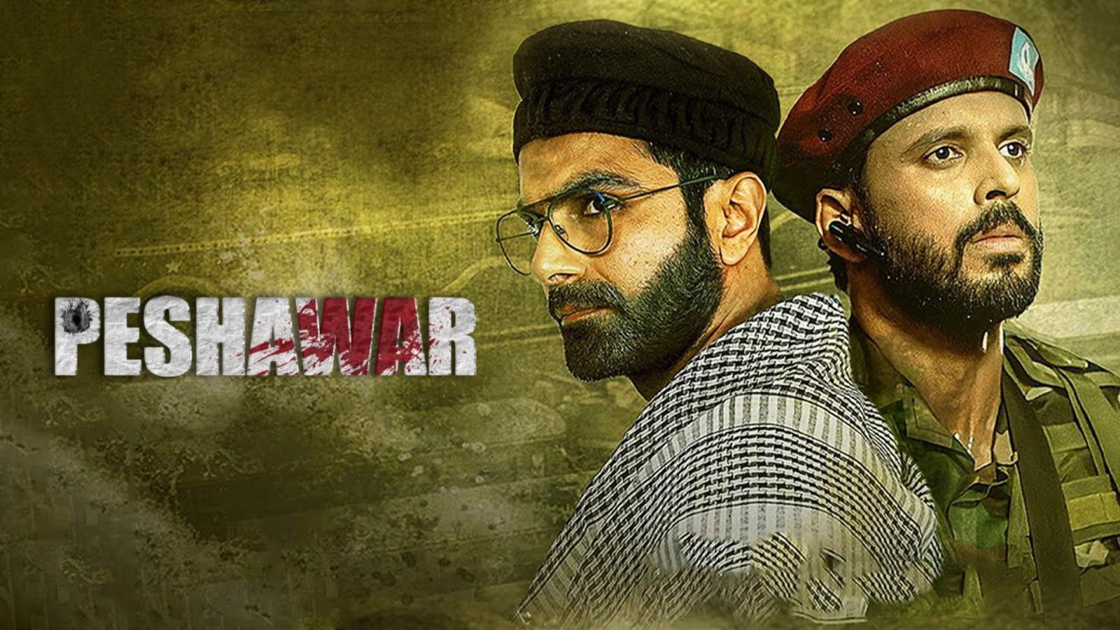 Backdrop for Peshawar