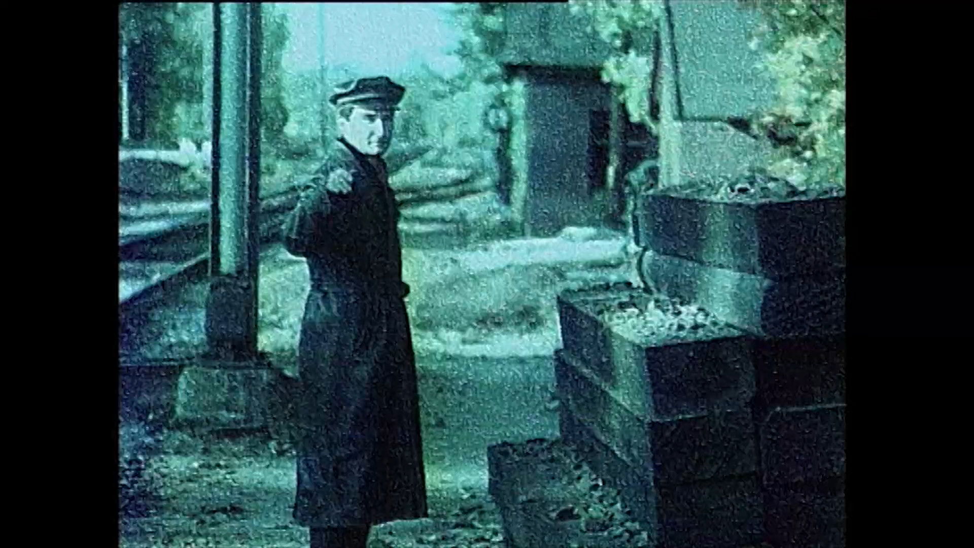 Backdrop for Tango a Nightingale