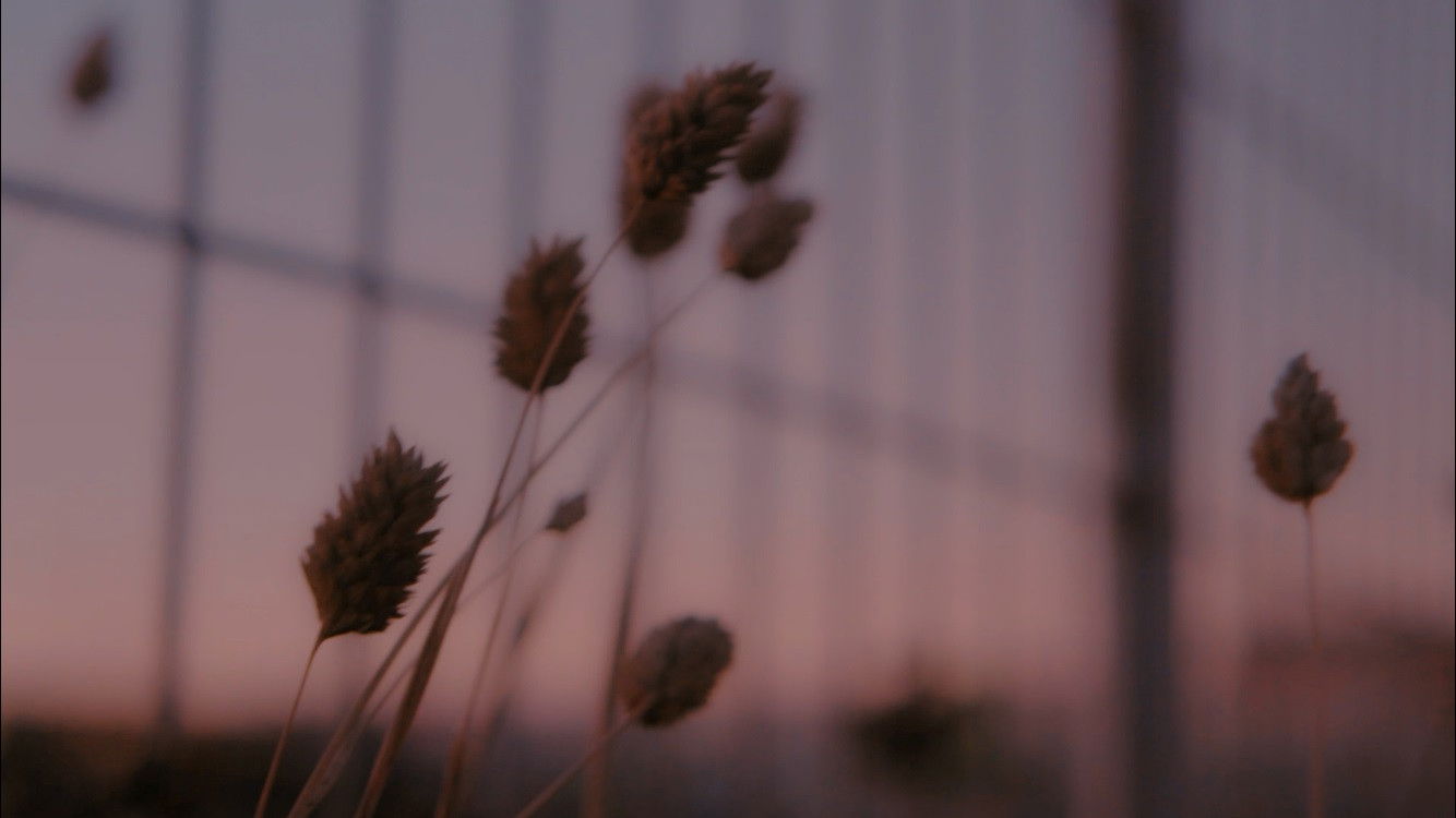 Backdrop for Growing Pains