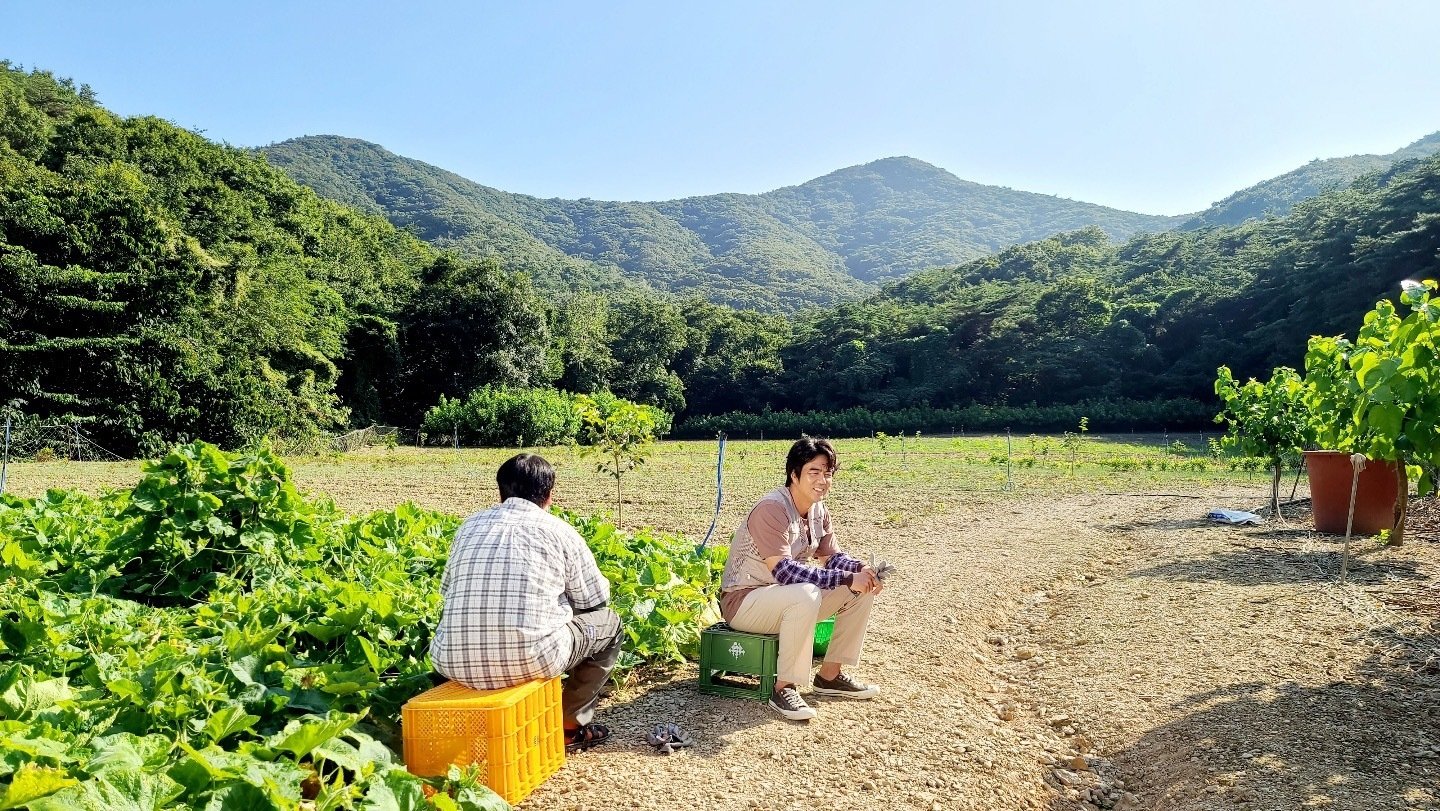 Backdrop for Ssanahee Sunjung