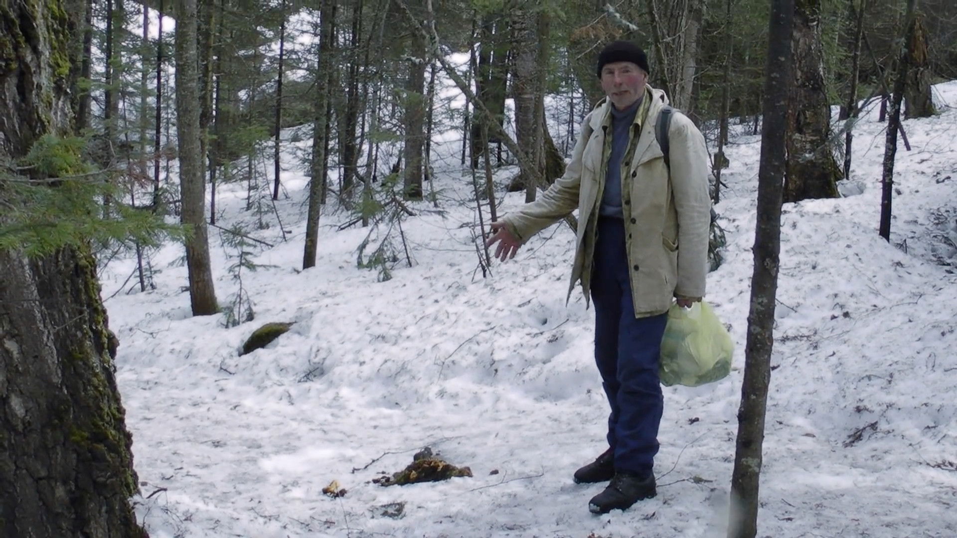 Backdrop for Territory Of Liberty