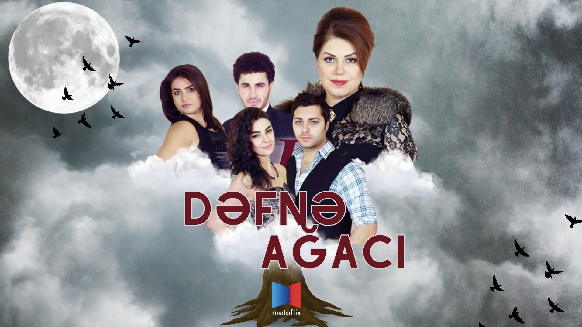 Backdrop for Dəfnə ağacı