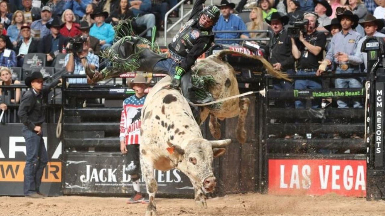 Backdrop for Fearless