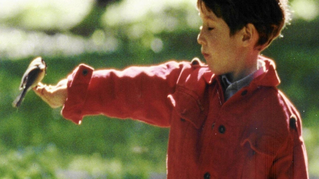 Backdrop for Anything Can Happen