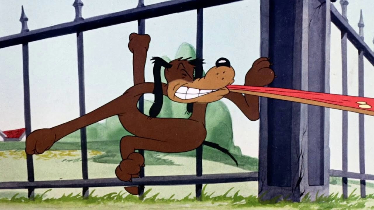 Backdrop for Behind the Meat-Ball