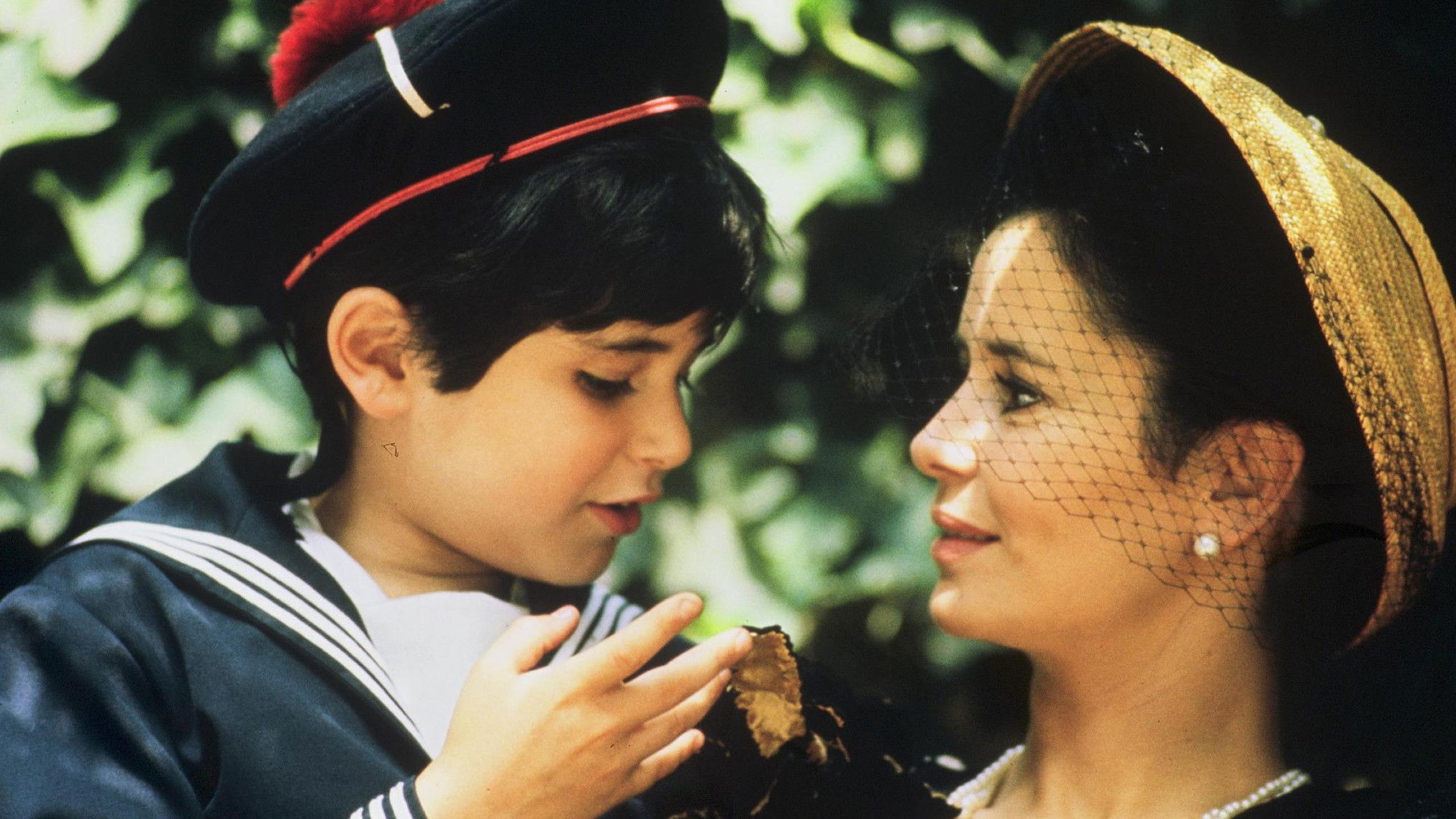 Backdrop for Violins at the Ball