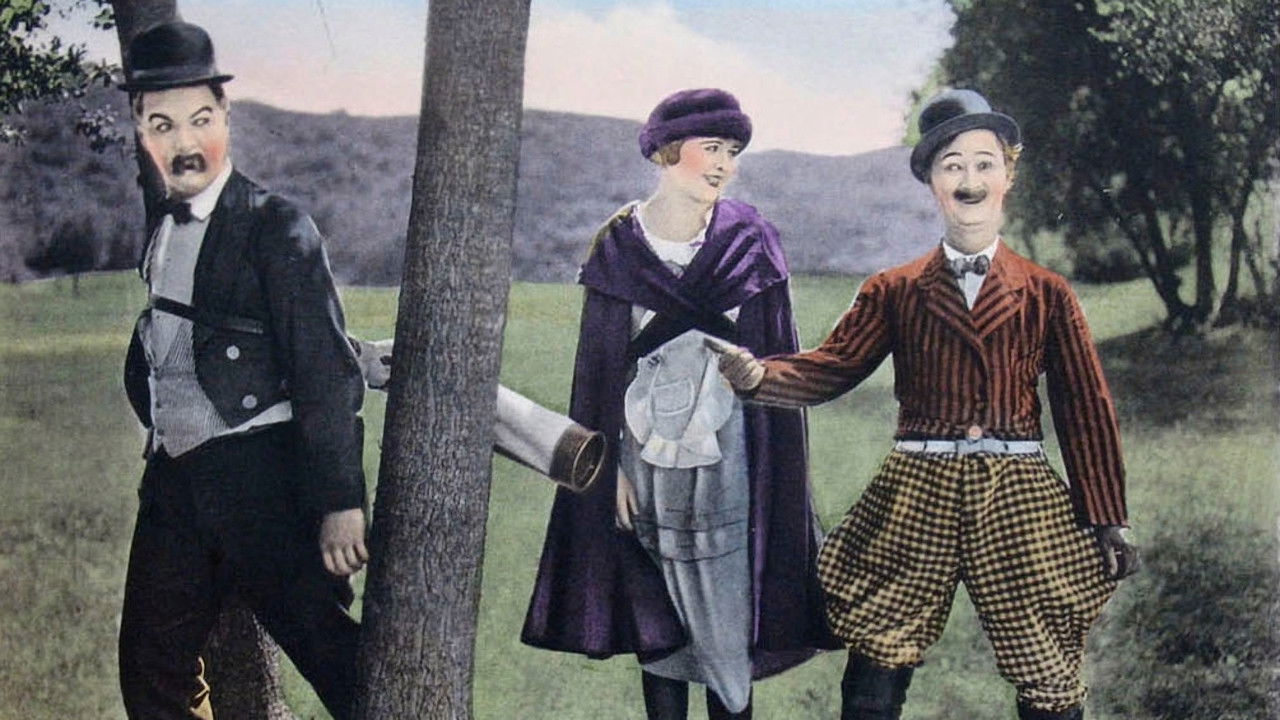 Backdrop for Bright Eyes