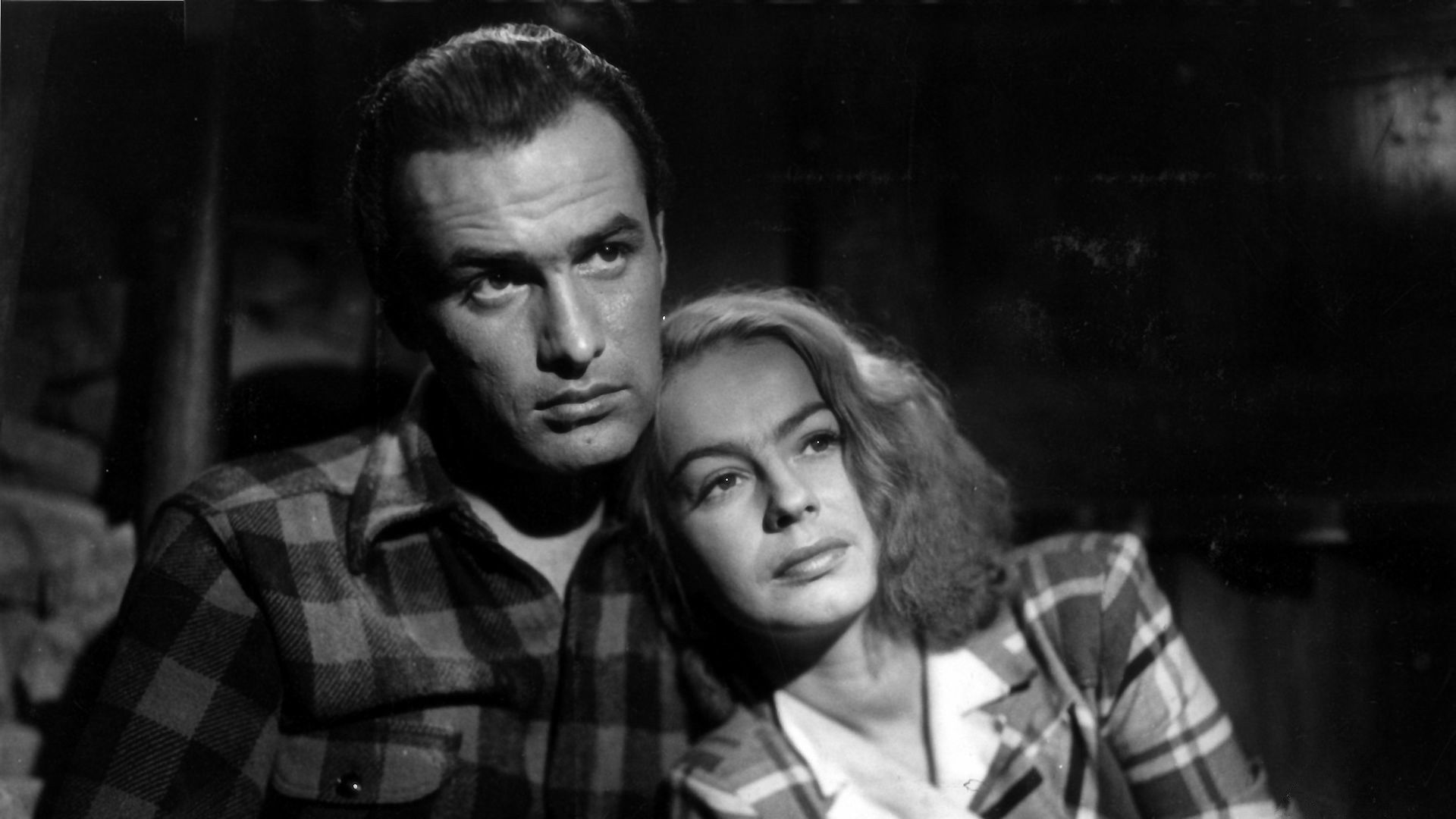 Backdrop for Treasure