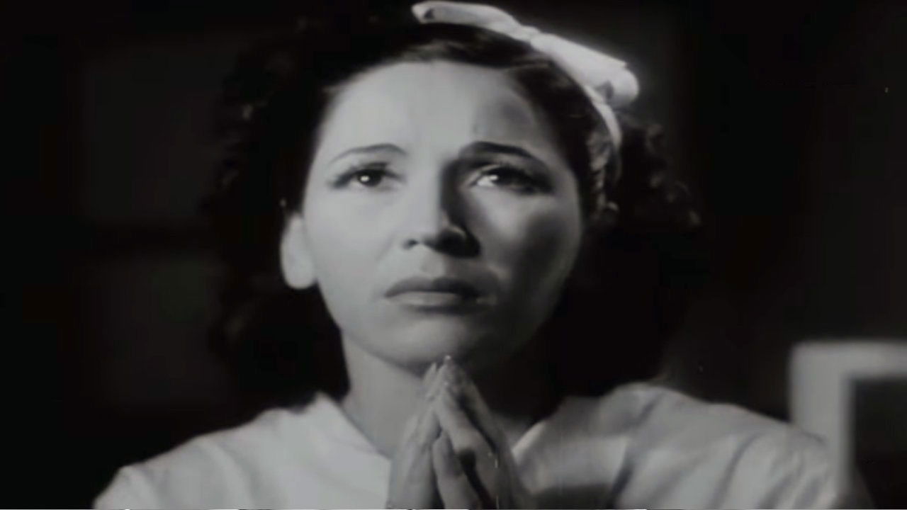 Backdrop for Pájaros sin nido