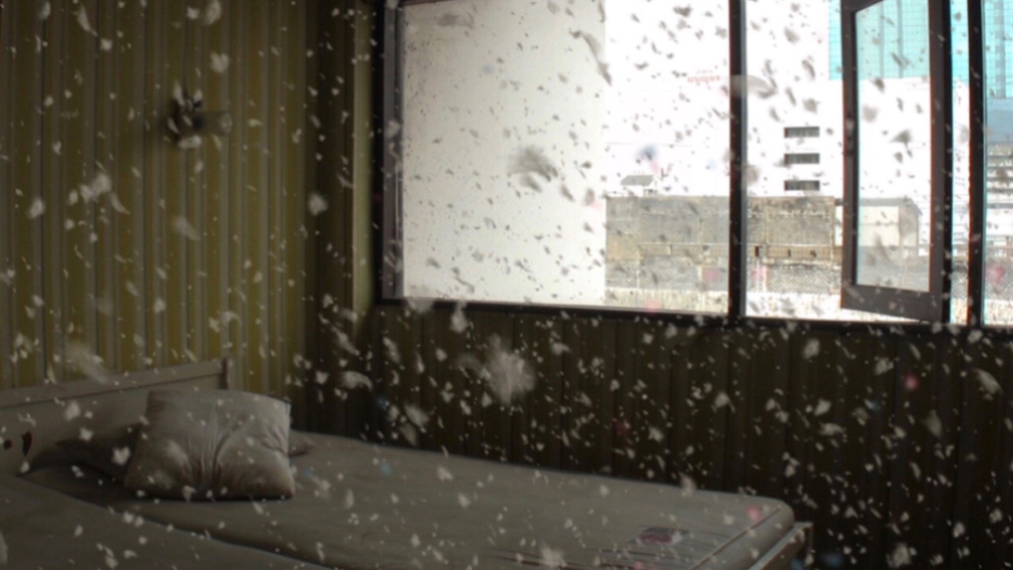 Backdrop for Emerald