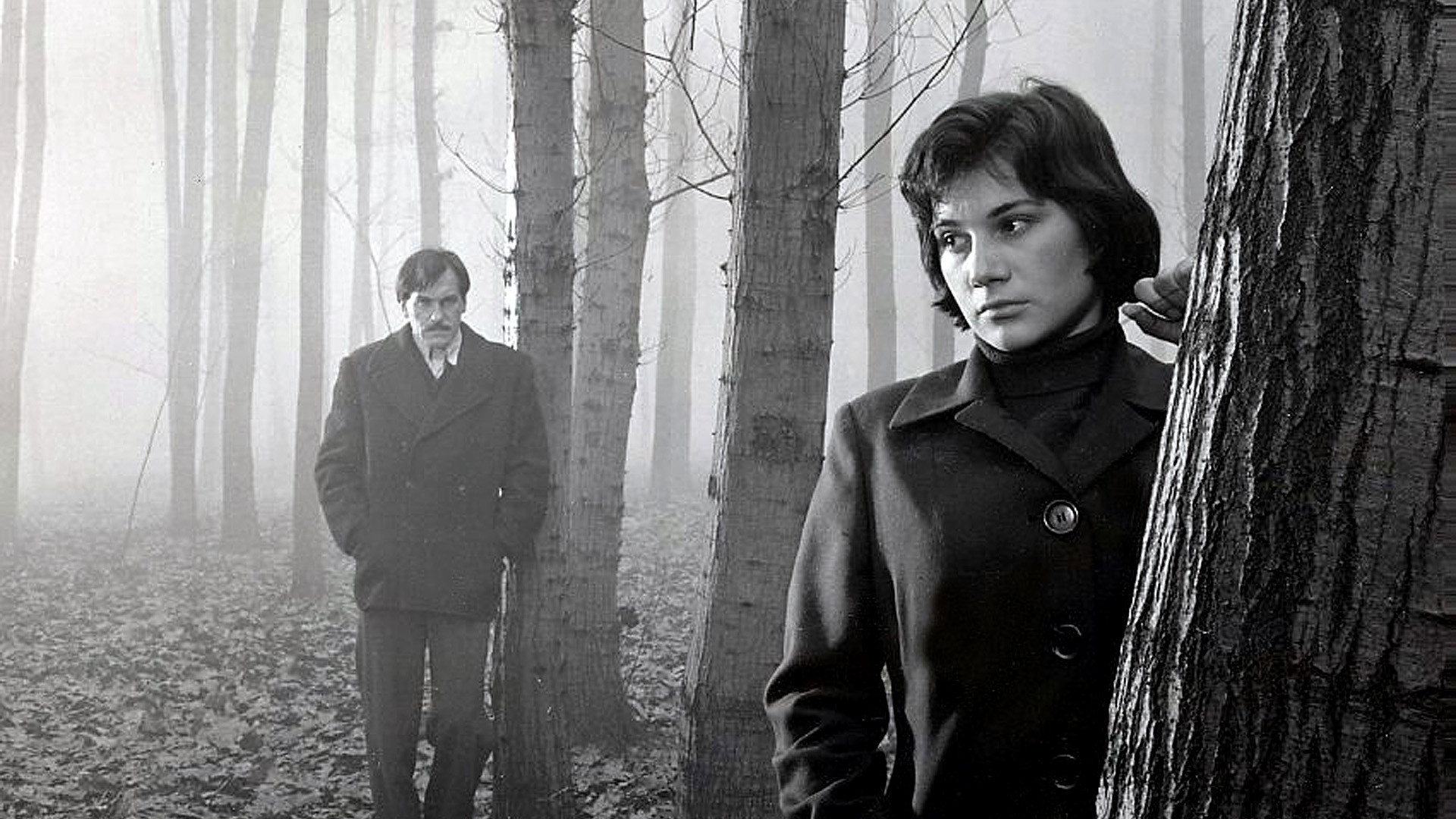 Backdrop for We Were Young