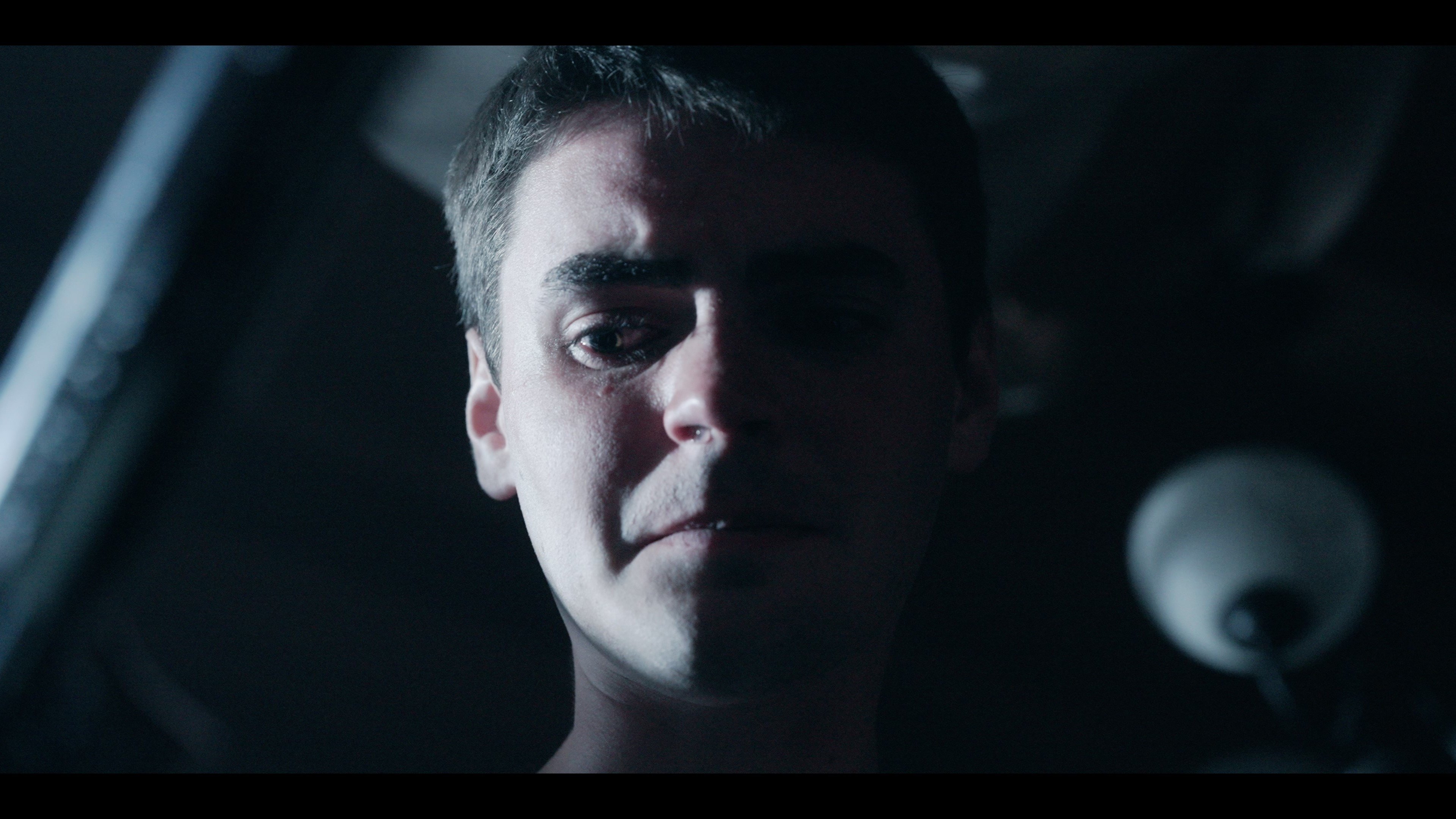 Backdrop for Immunity