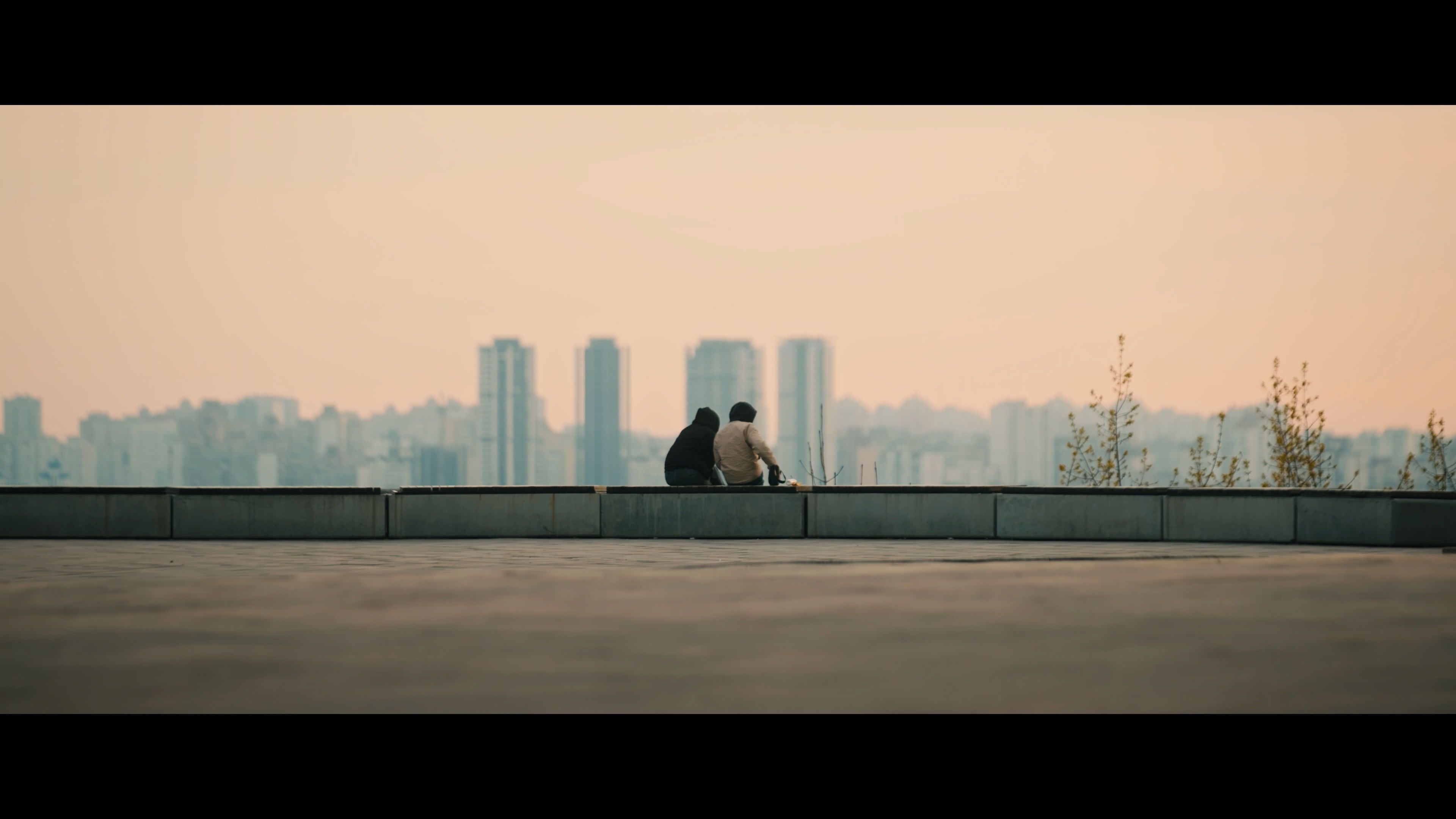 Backdrop for Geese of Love