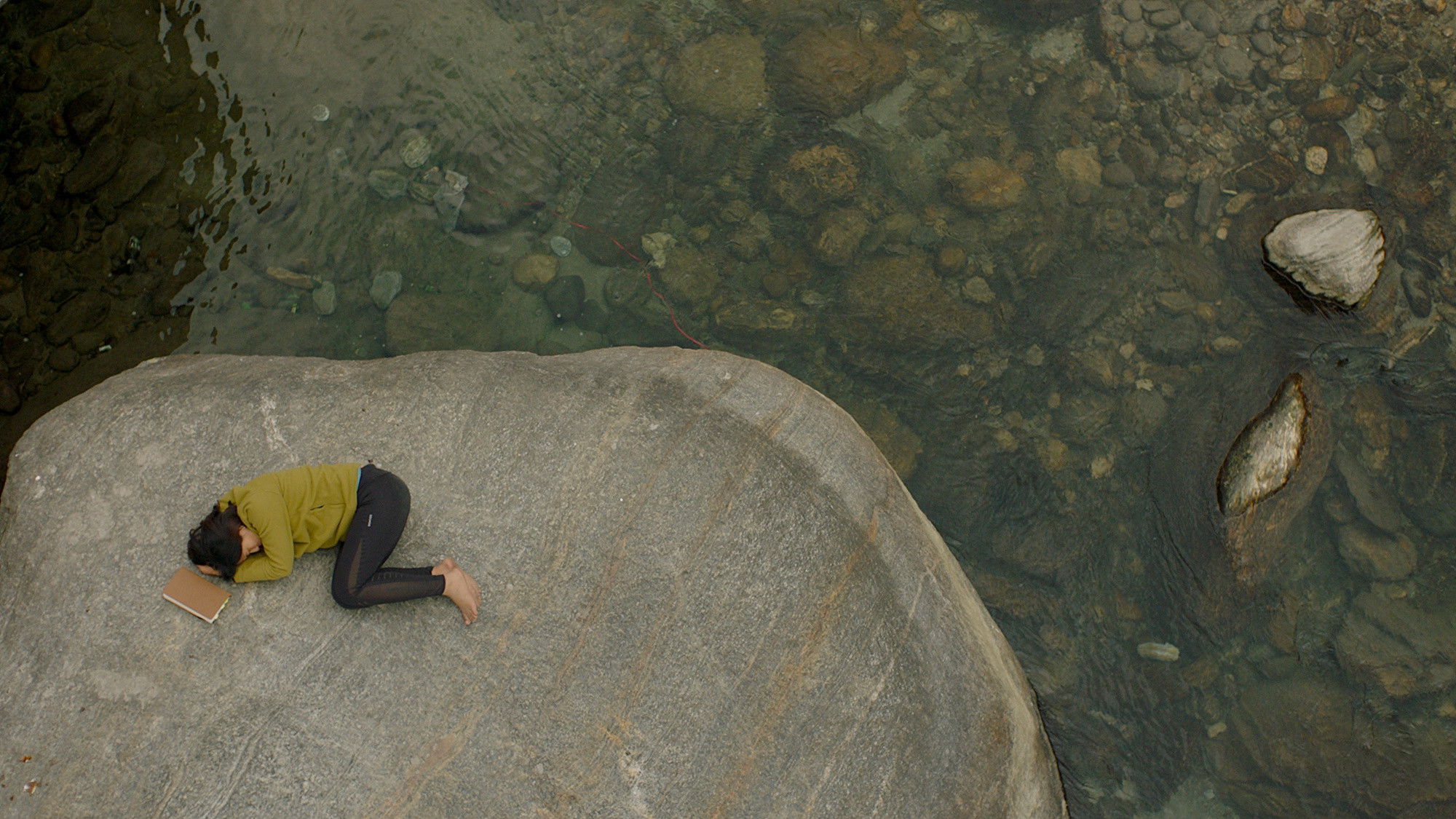 Backdrop for Shape of Momo