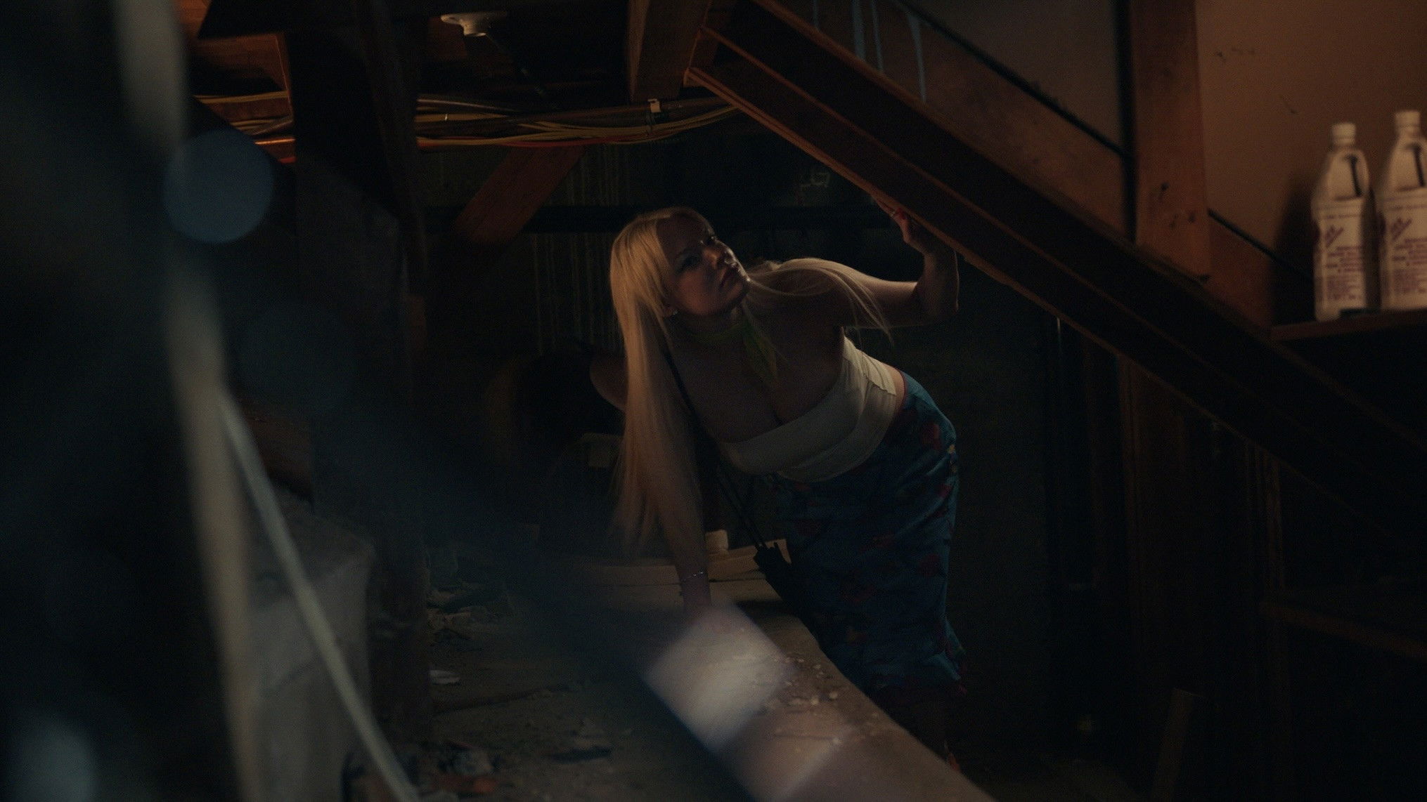 Backdrop for Upside Down Pineapple